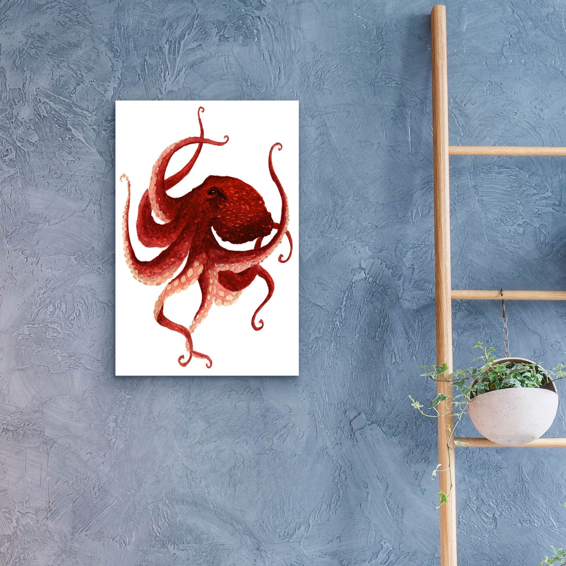 Epic Art ' Giant Pacific Octopus, Red' by Jeannine Saylor, Acrylic Glass Wall Art,16x24