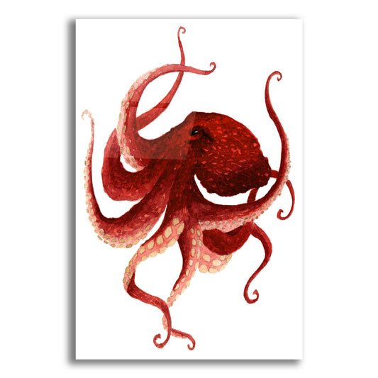 Epic Art ' Giant Pacific Octopus, Red' by Jeannine Saylor, Acrylic Glass Wall Art