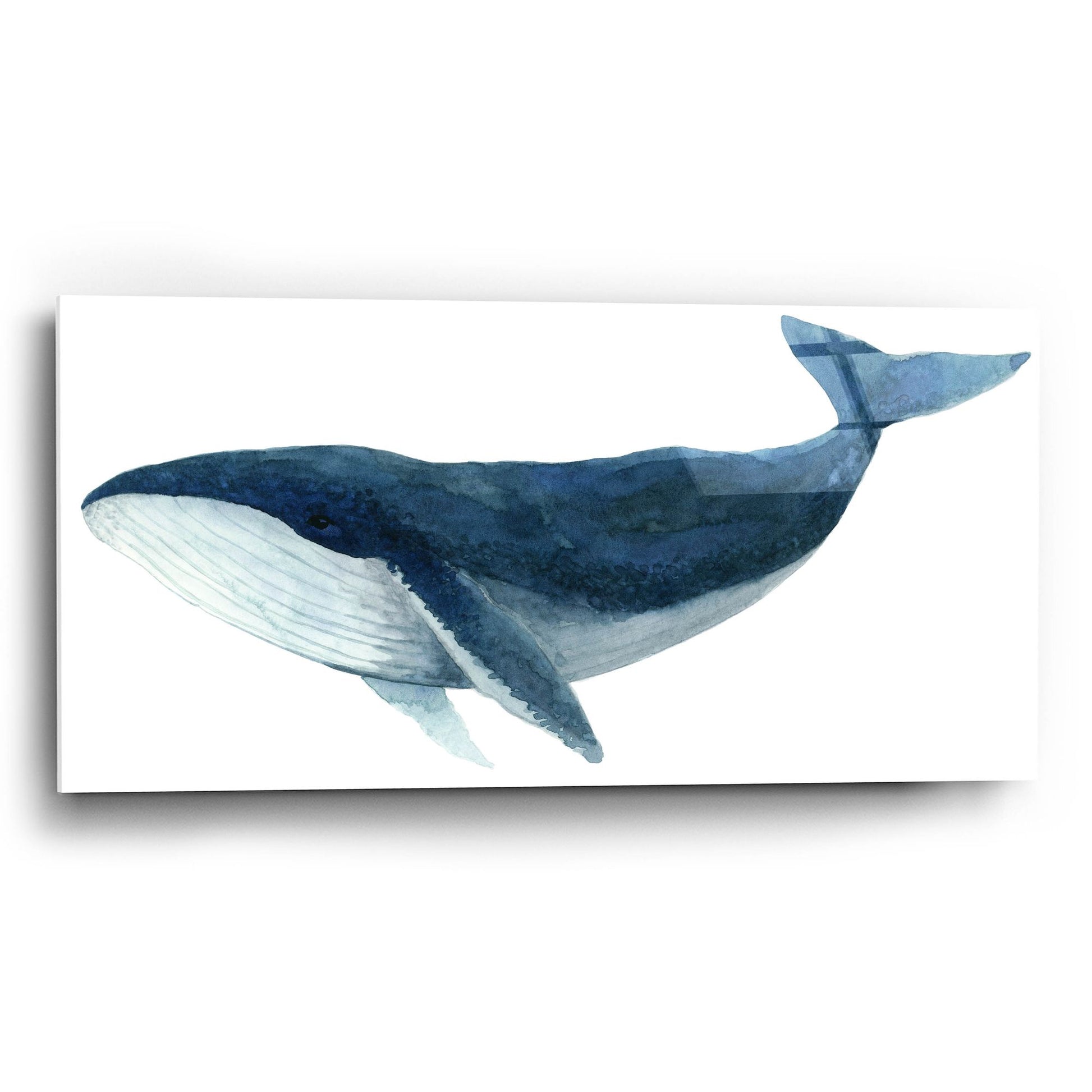 Epic Art ' Humpback Whale, Blue' by Jeannine Saylor, Acrylic Glass Wall Art,24x12