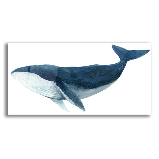 Epic Art ' Humpback Whale, Blue' by Jeannine Saylor, Acrylic Glass Wall Art