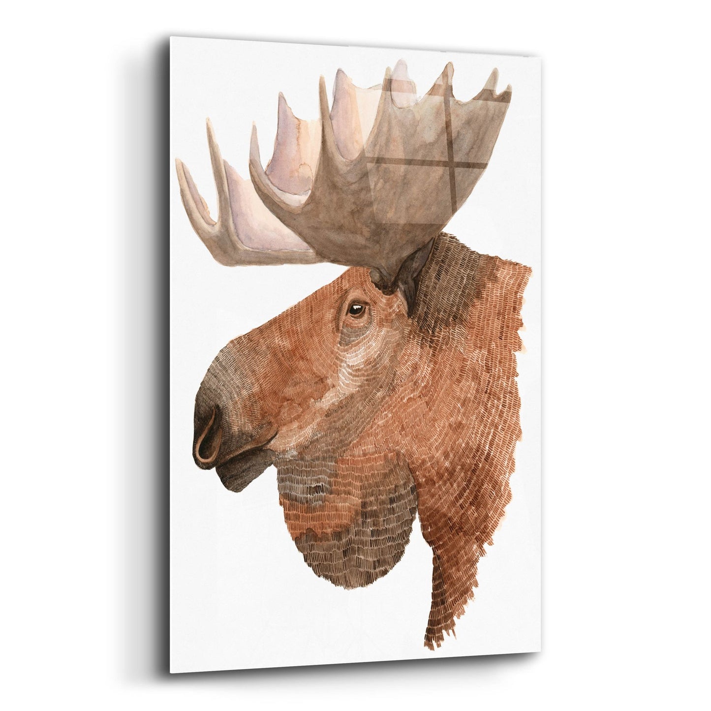 Epic Art ' Moose' by Jeannine Saylor, Acrylic Glass Wall Art,12x16