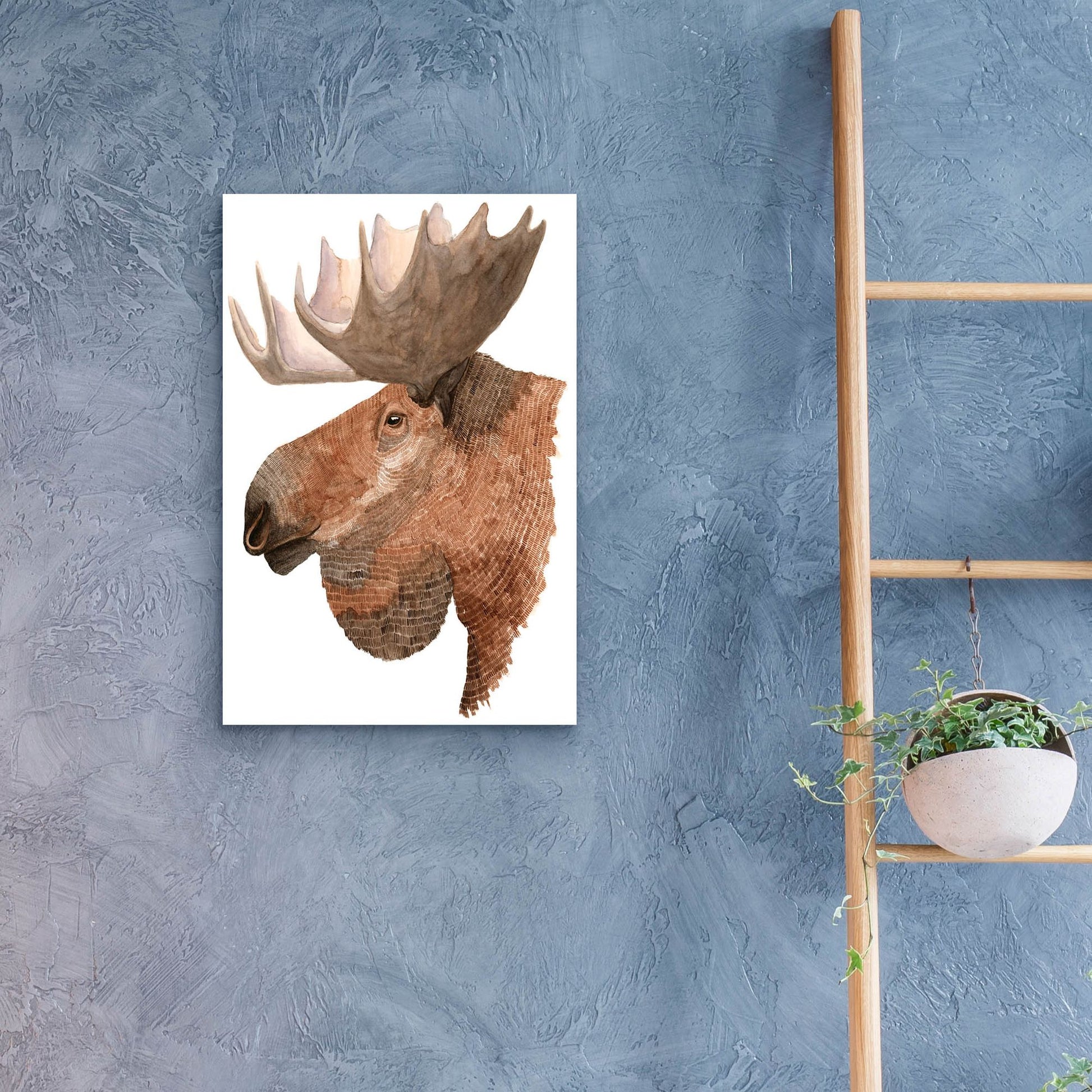 Epic Art ' Moose' by Jeannine Saylor, Acrylic Glass Wall Art,16x24