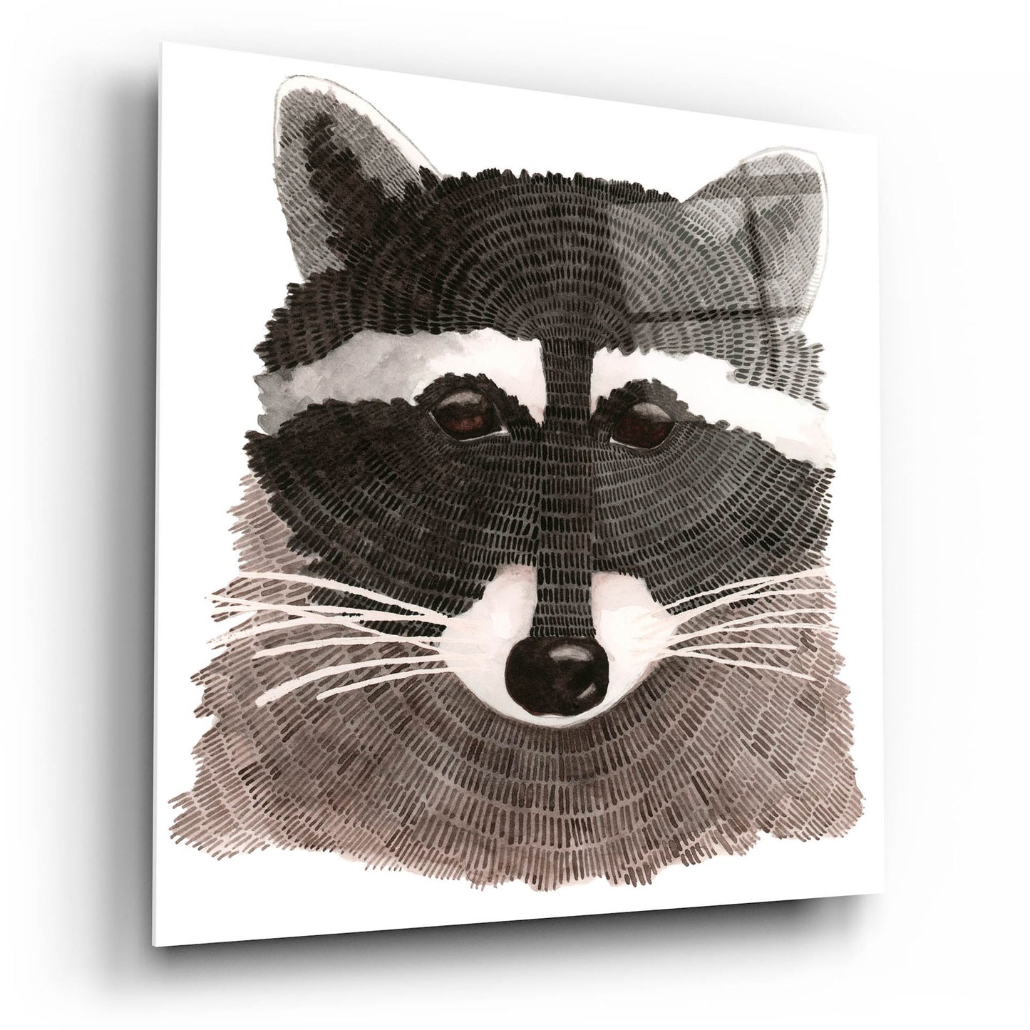 Epic Art ' Raccoon' by Jeannine Saylor, Acrylic Glass Wall Art,12x12