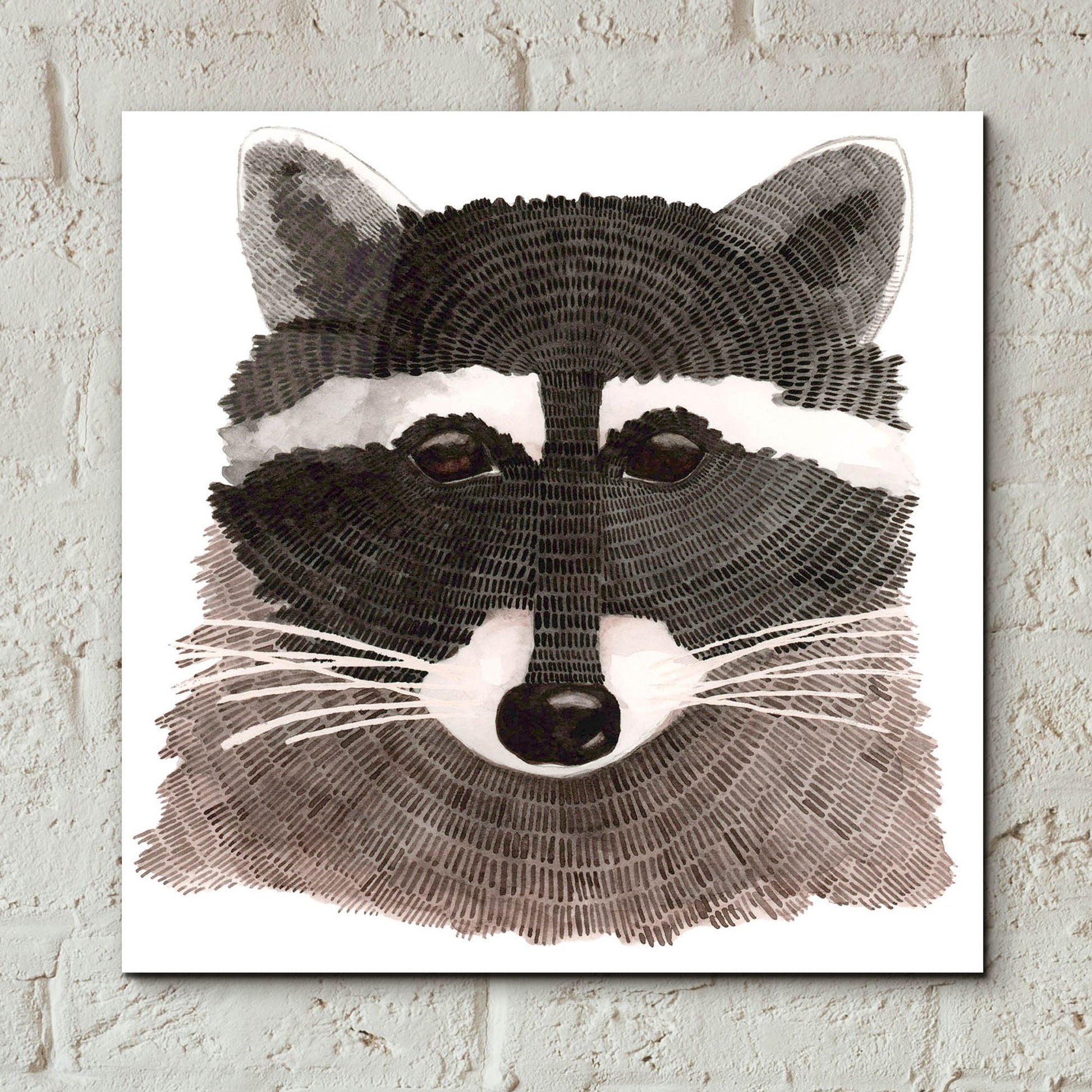 Epic Art ' Raccoon' by Jeannine Saylor, Acrylic Glass Wall Art,12x12