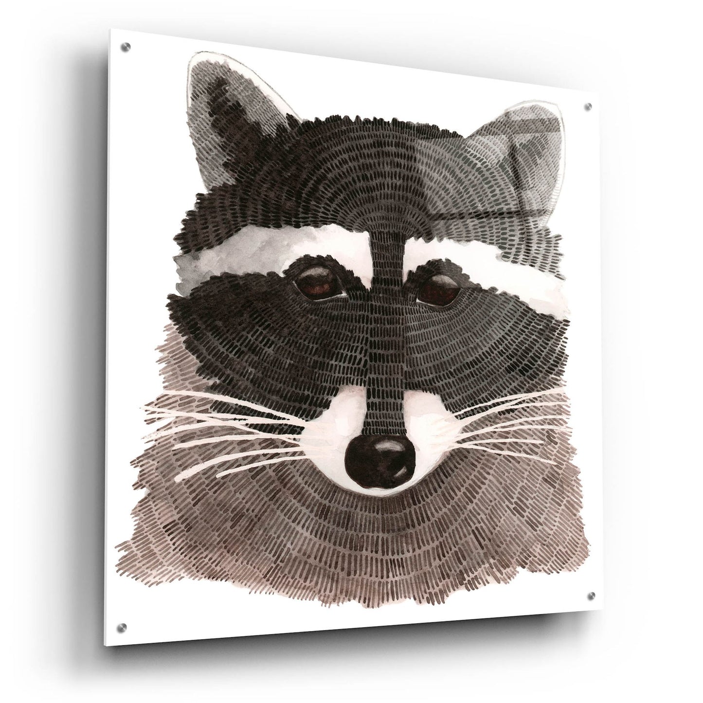 Epic Art ' Raccoon' by Jeannine Saylor, Acrylic Glass Wall Art,36x36