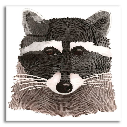 Epic Art ' Raccoon' by Jeannine Saylor, Acrylic Glass Wall Art