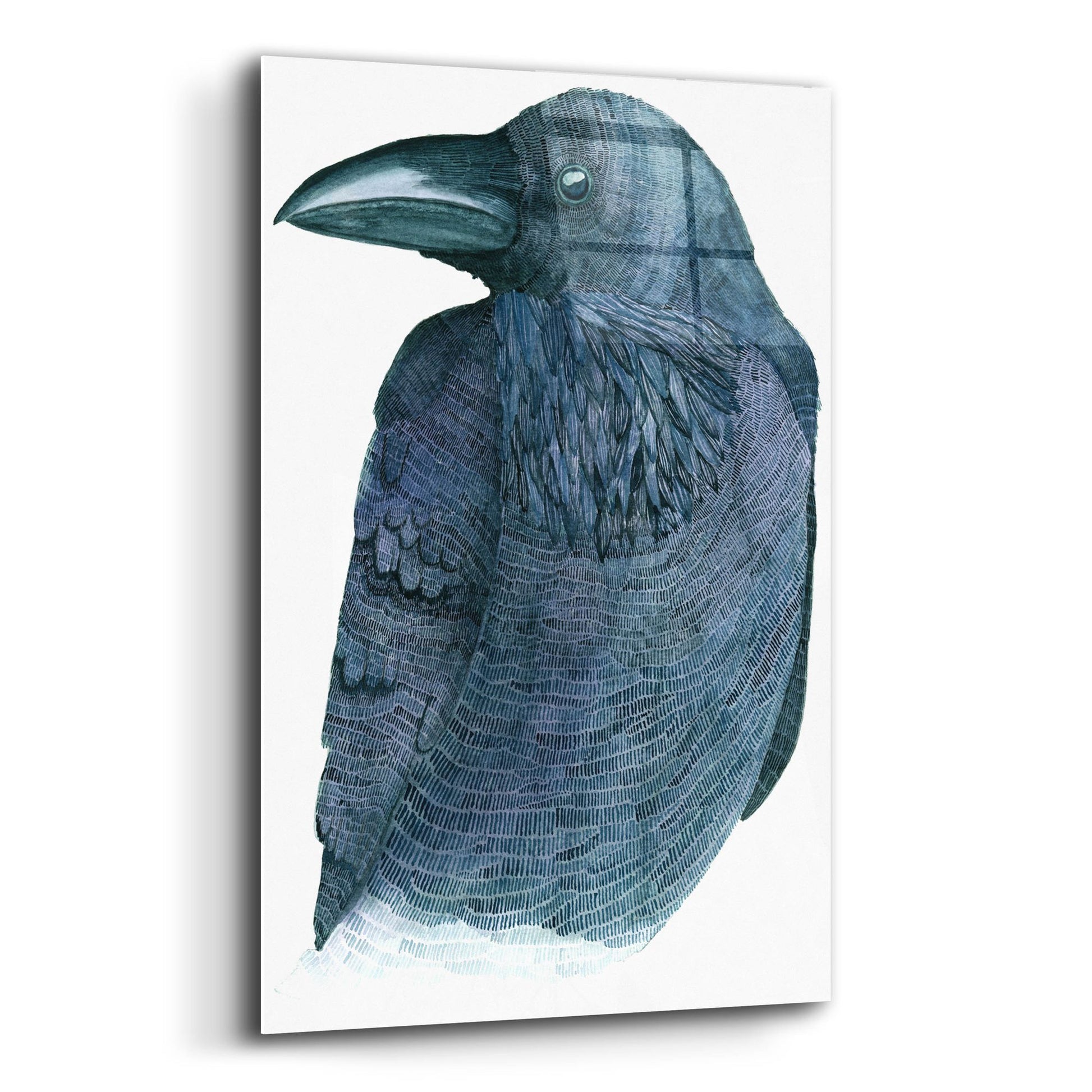 Epic Art ' Raven' by Jeannine Saylor, Acrylic Glass Wall Art,12x16