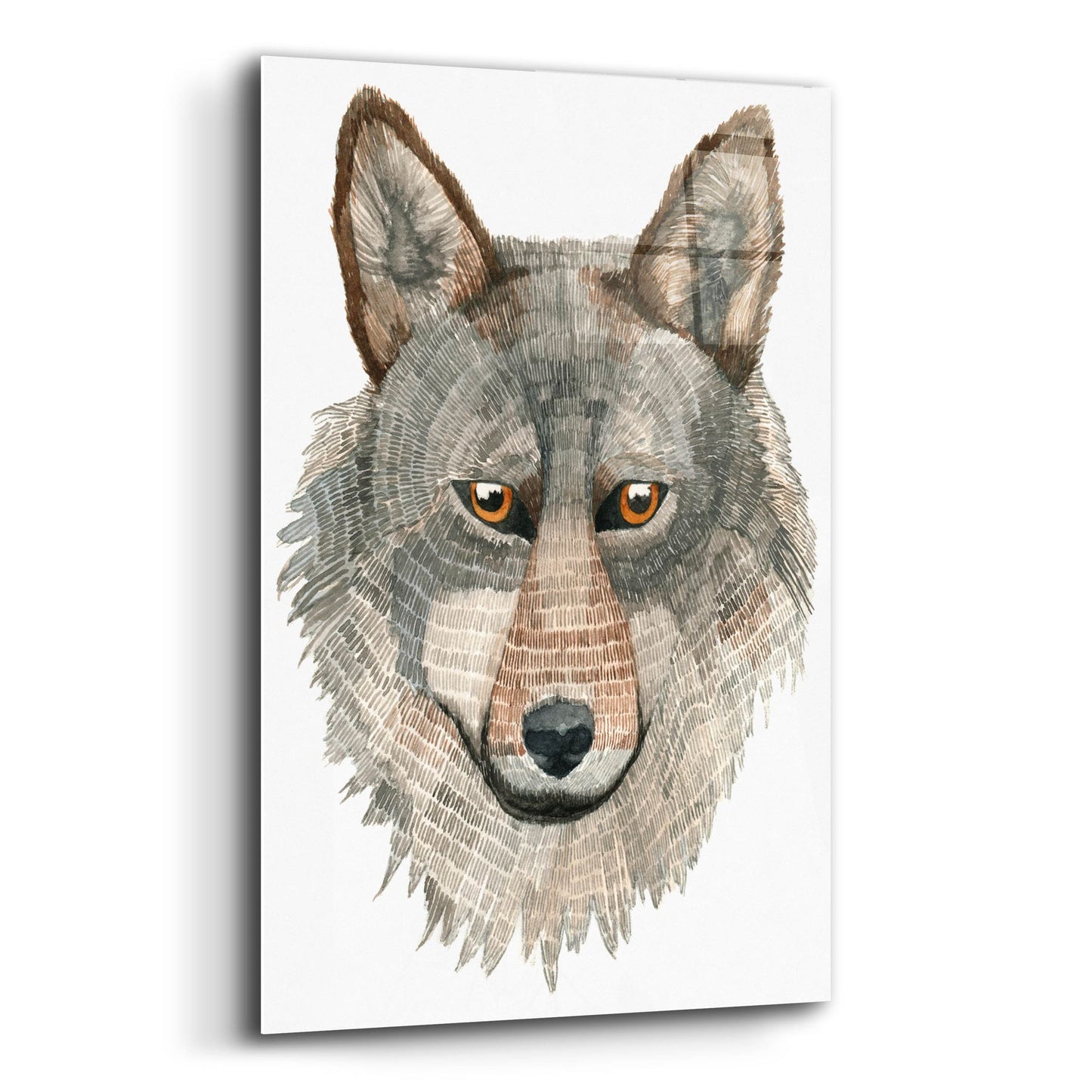 Epic Art ' Wolf' by Jeannine Saylor, Acrylic Glass Wall Art,12x16