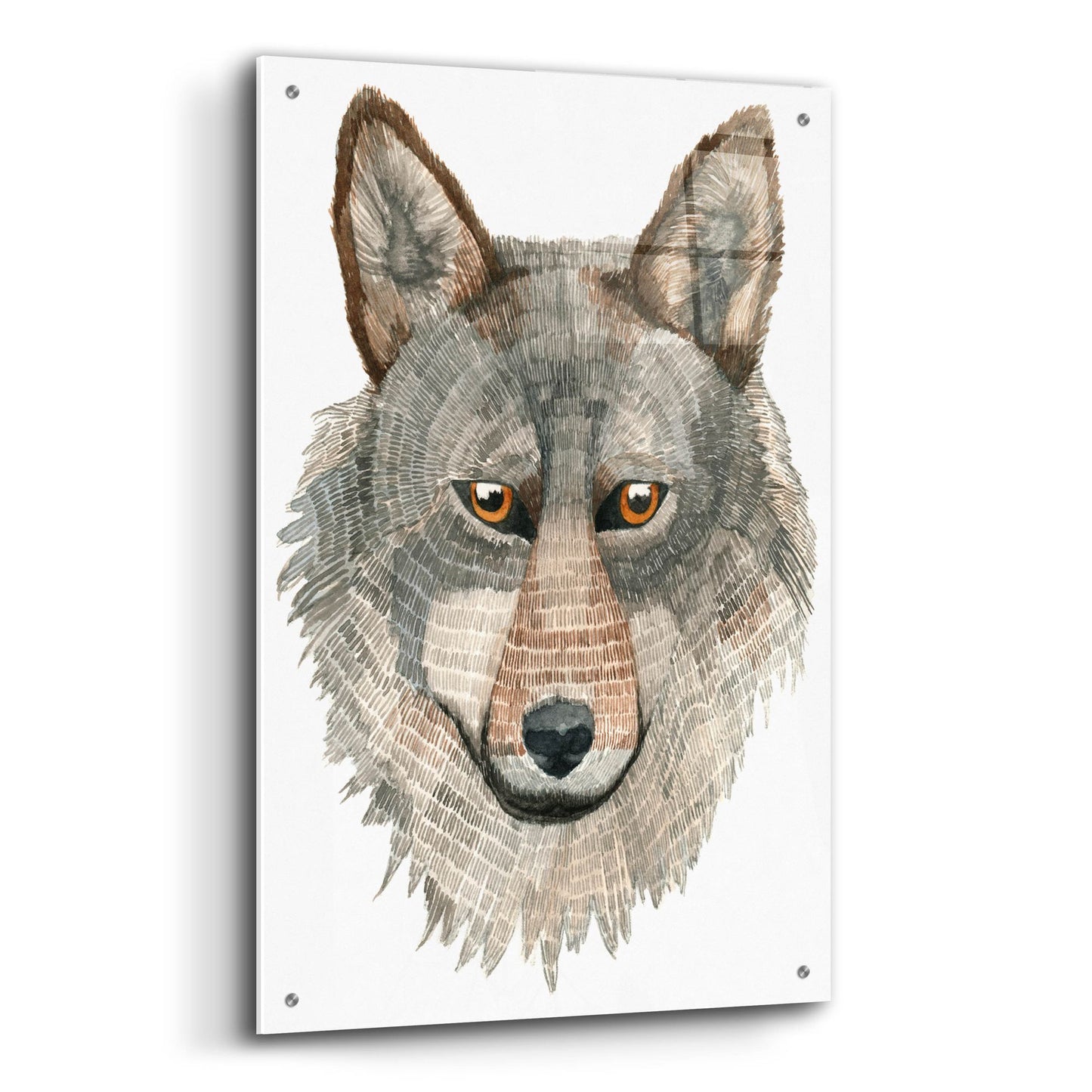 Epic Art ' Wolf' by Jeannine Saylor, Acrylic Glass Wall Art,24x36