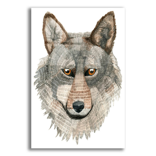 Epic Art ' Wolf' by Jeannine Saylor, Acrylic Glass Wall Art
