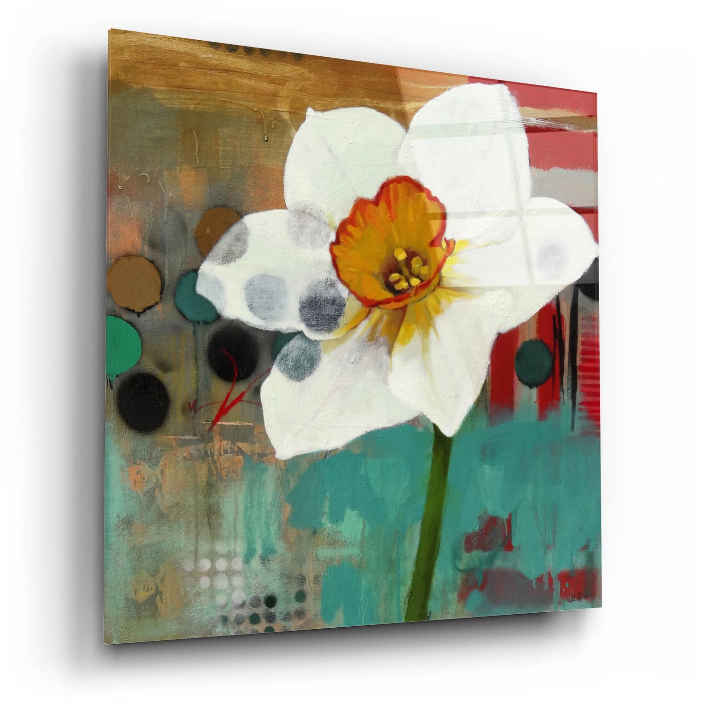 Epic Art ' Daffodil Mannerisms' by Jennifer Rasmusson, Acrylic Glass Wall Art,12x12