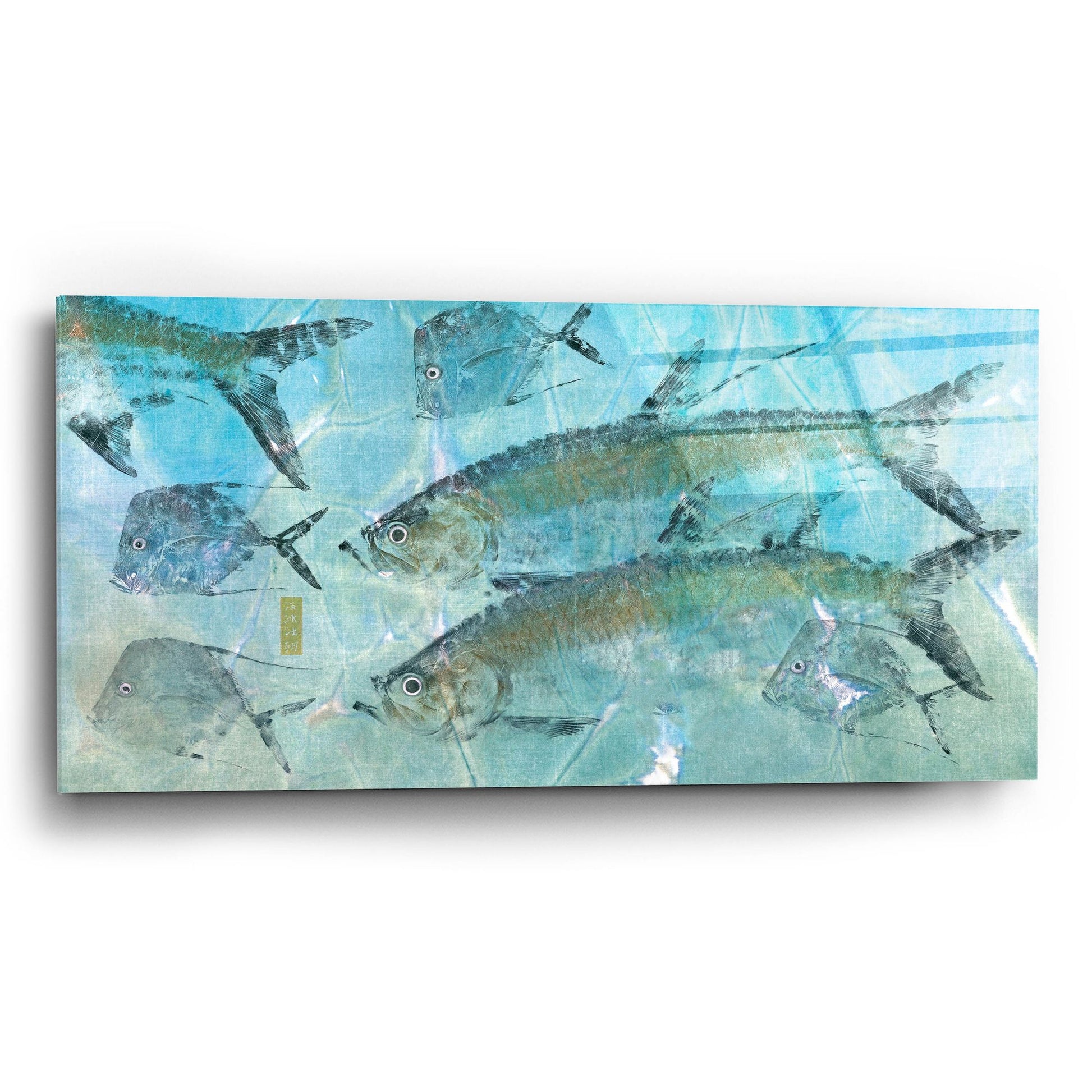 Epic Art ' Tarpon Lagoon' by Jim Roberts, Acrylic Glass Wall Art,24x12