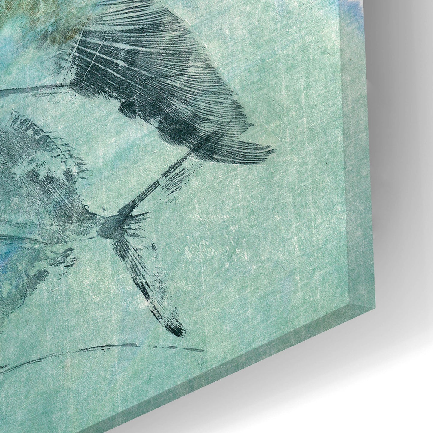 Epic Art ' Tarpon Lagoon' by Jim Roberts, Acrylic Glass Wall Art,24x12