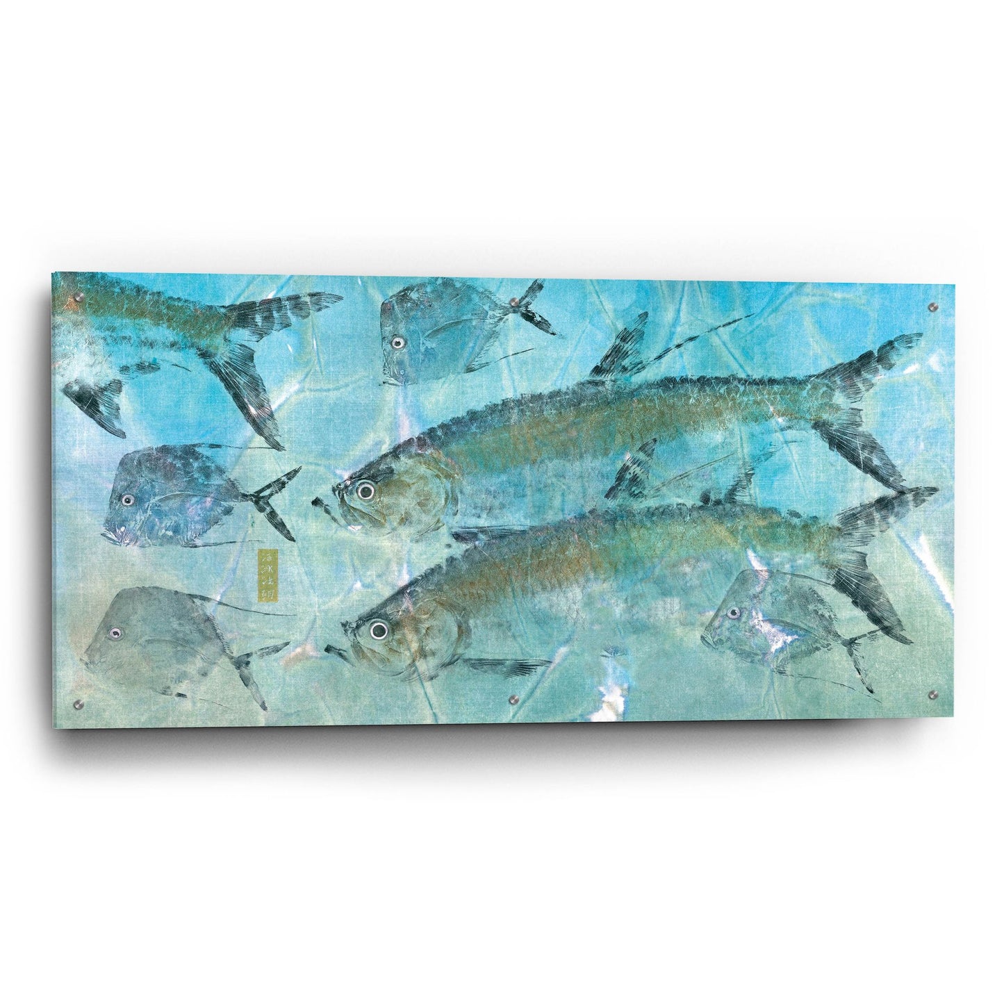 Epic Art ' Tarpon Lagoon' by Jim Roberts, Acrylic Glass Wall Art,48x24