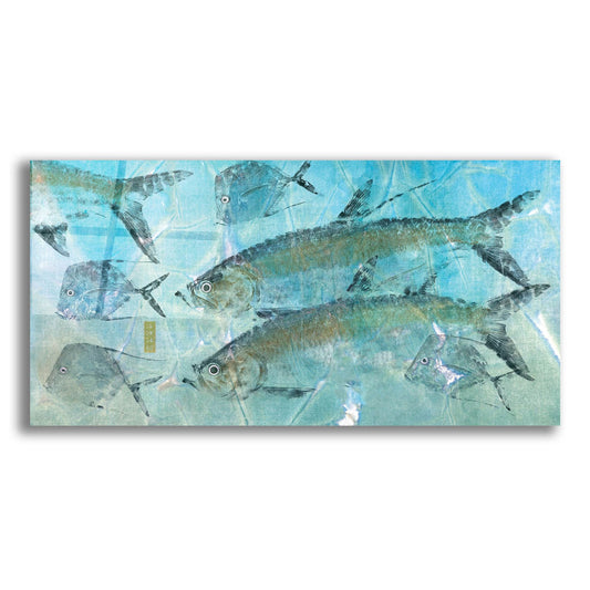Epic Art ' Tarpon Lagoon' by Jim Roberts, Acrylic Glass Wall Art