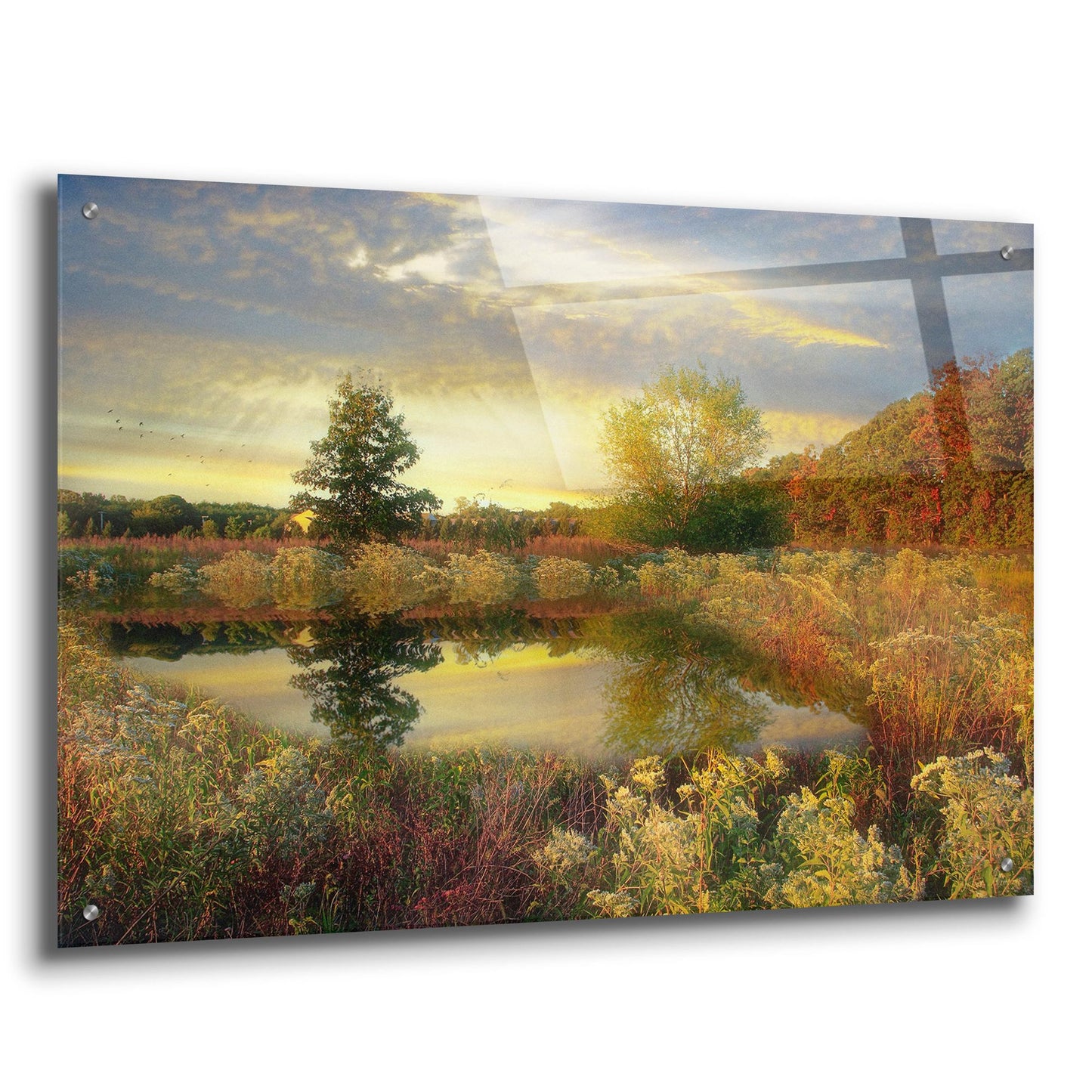 Epic Art ' Arrival of Dawn' by John Rivera, Acrylic Glass Wall Art,36x24