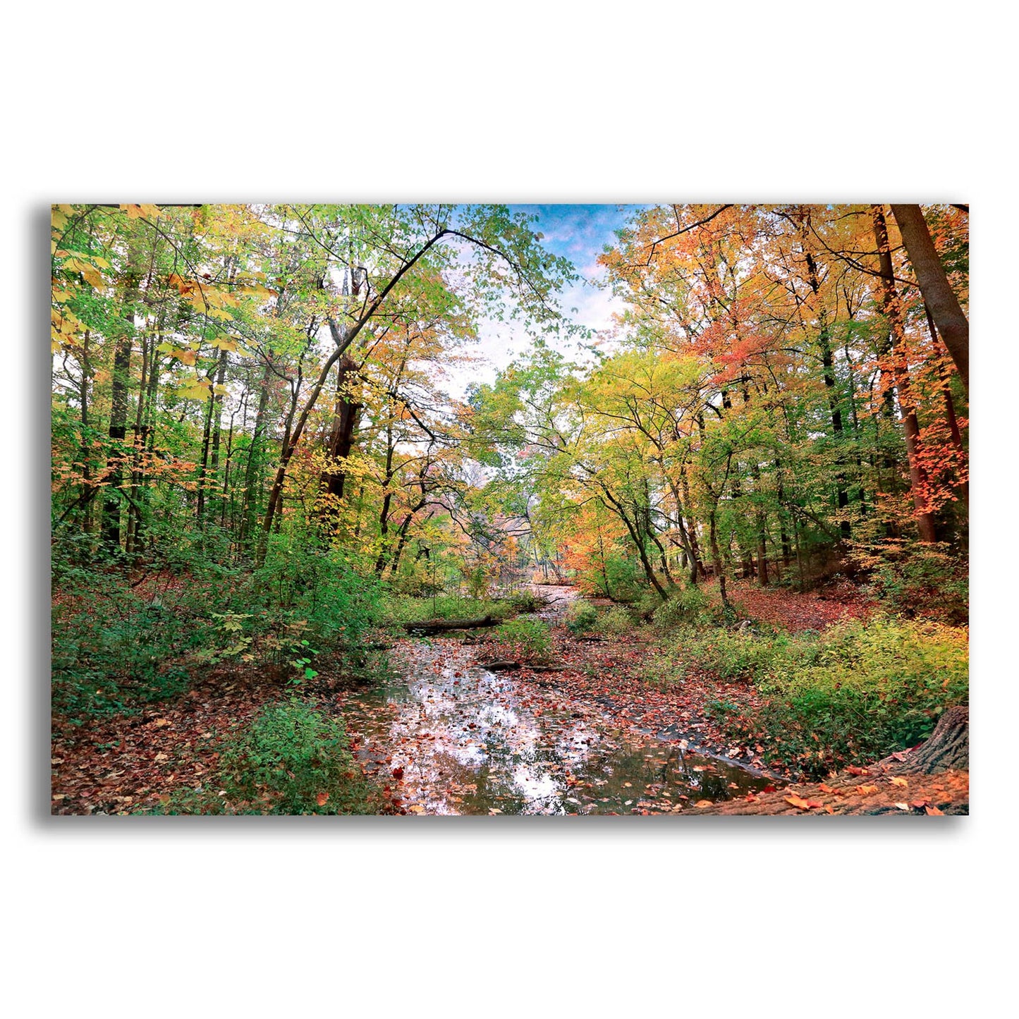 Epic Art ' Autumn at Hopkins Pond' by John Rivera, Acrylic Glass Wall Art,24x16