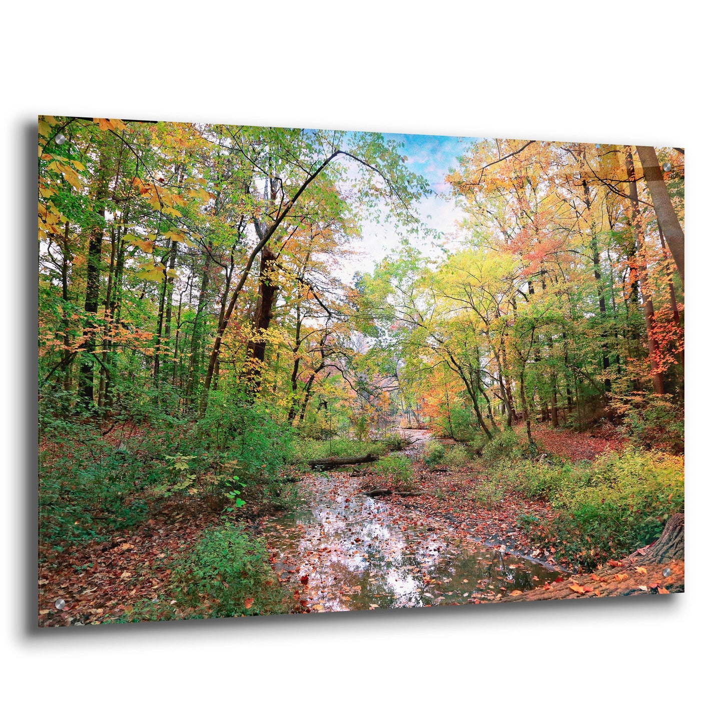 Epic Art ' Autumn at Hopkins Pond' by John Rivera, Acrylic Glass Wall Art,36x24