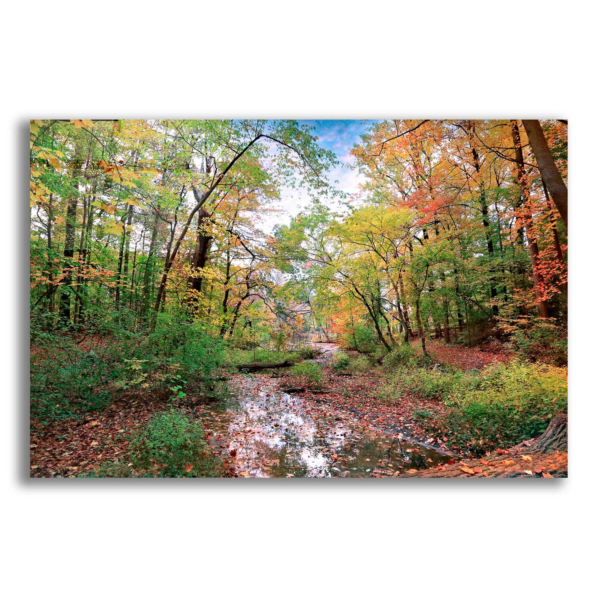 Epic Art ' Autumn at Hopkins Pond' by John Rivera, Acrylic Glass Wall Art