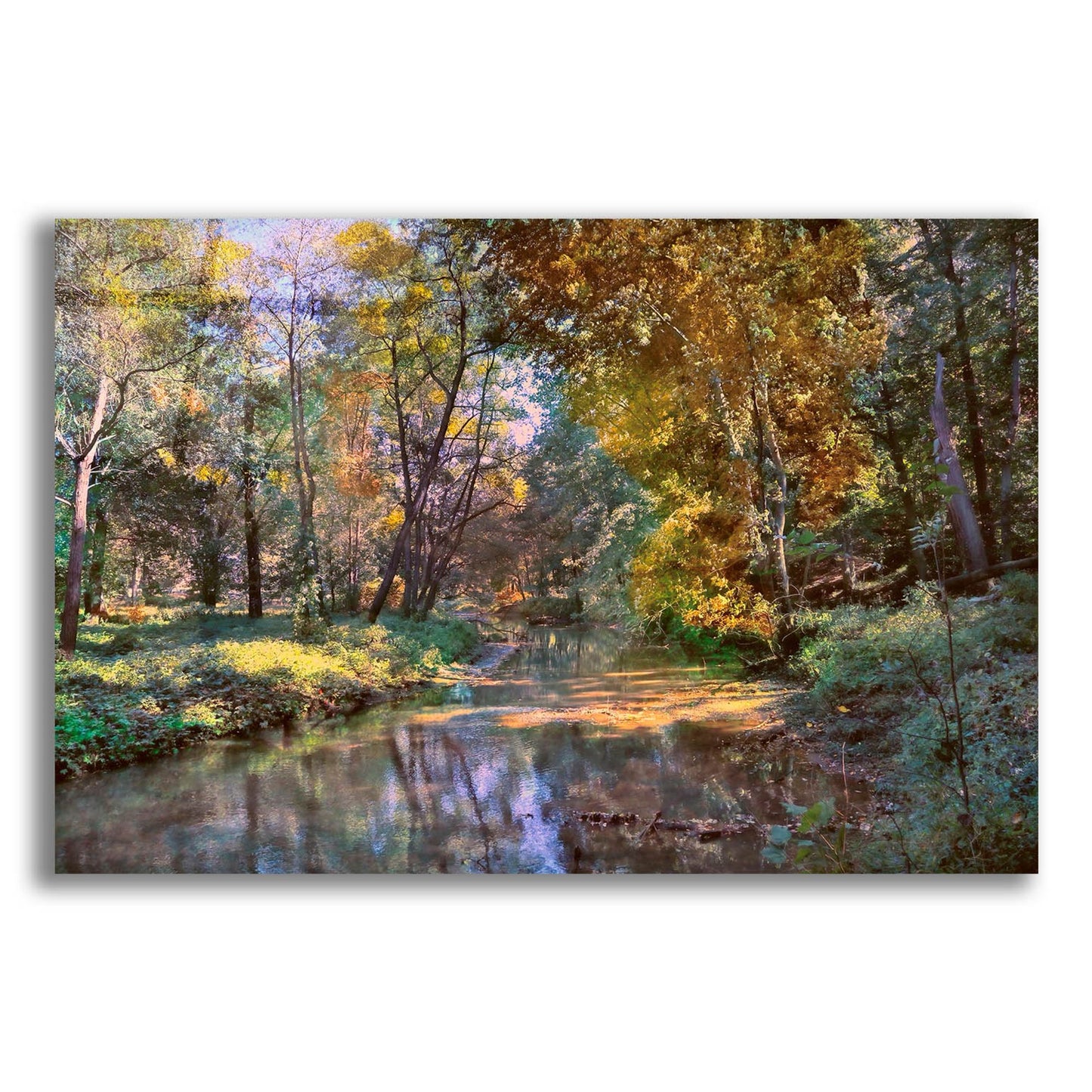 Epic Art ' Autumn in the Afternoon' by John Rivera, Acrylic Glass Wall Art,24x16