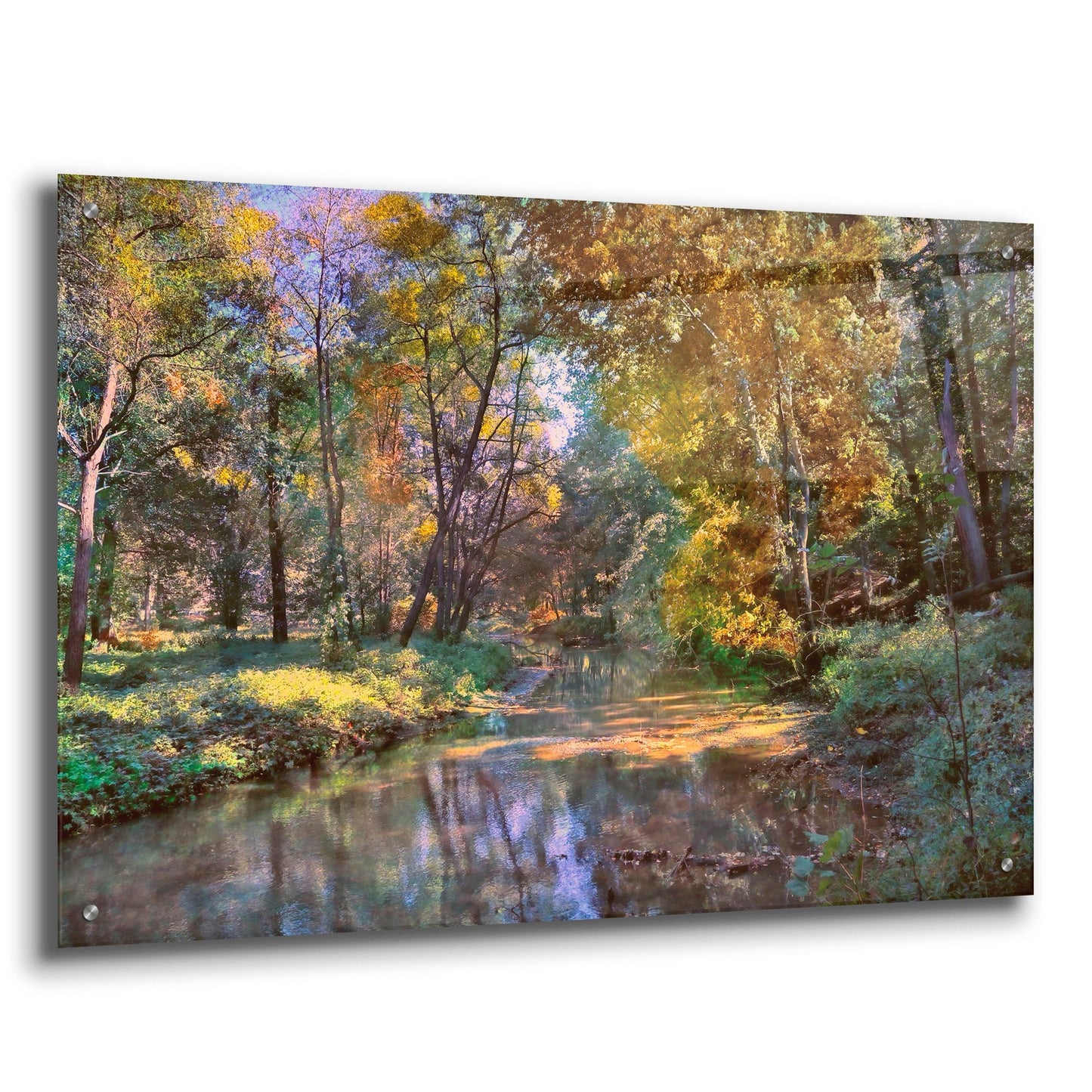 Epic Art ' Autumn in the Afternoon' by John Rivera, Acrylic Glass Wall Art,36x24