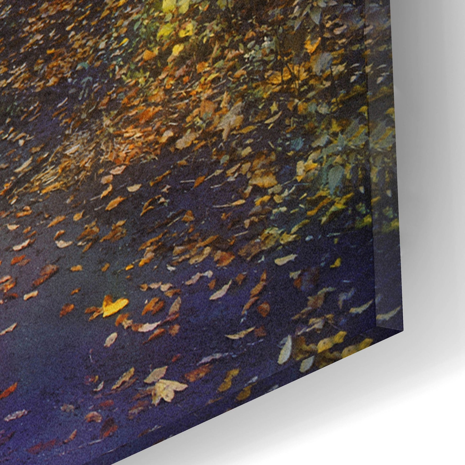 Epic Art ' Autumn Walk' by John Rivera, Acrylic Glass Wall Art,16x12