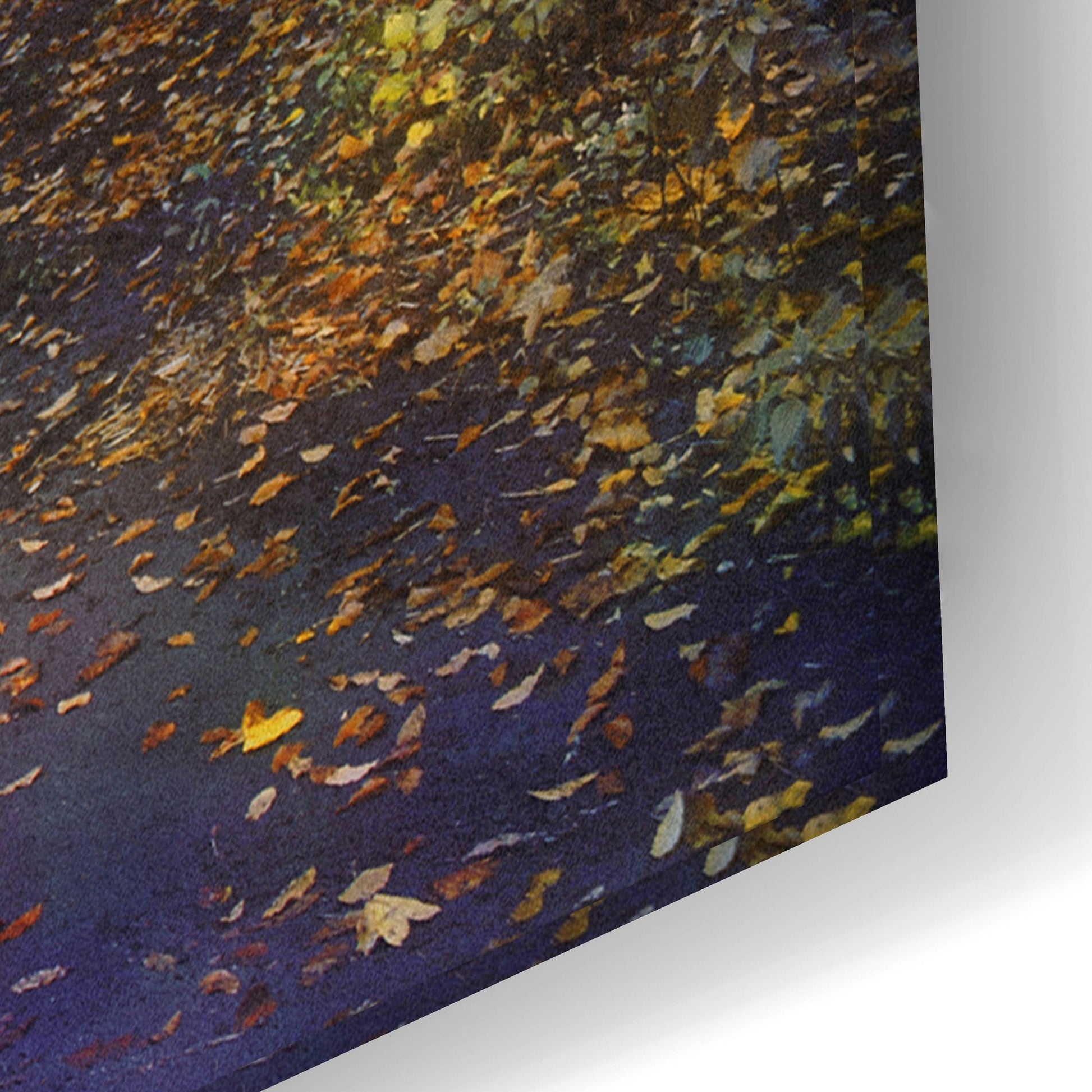 Epic Art ' Autumn Walk' by John Rivera, Acrylic Glass Wall Art,24x16