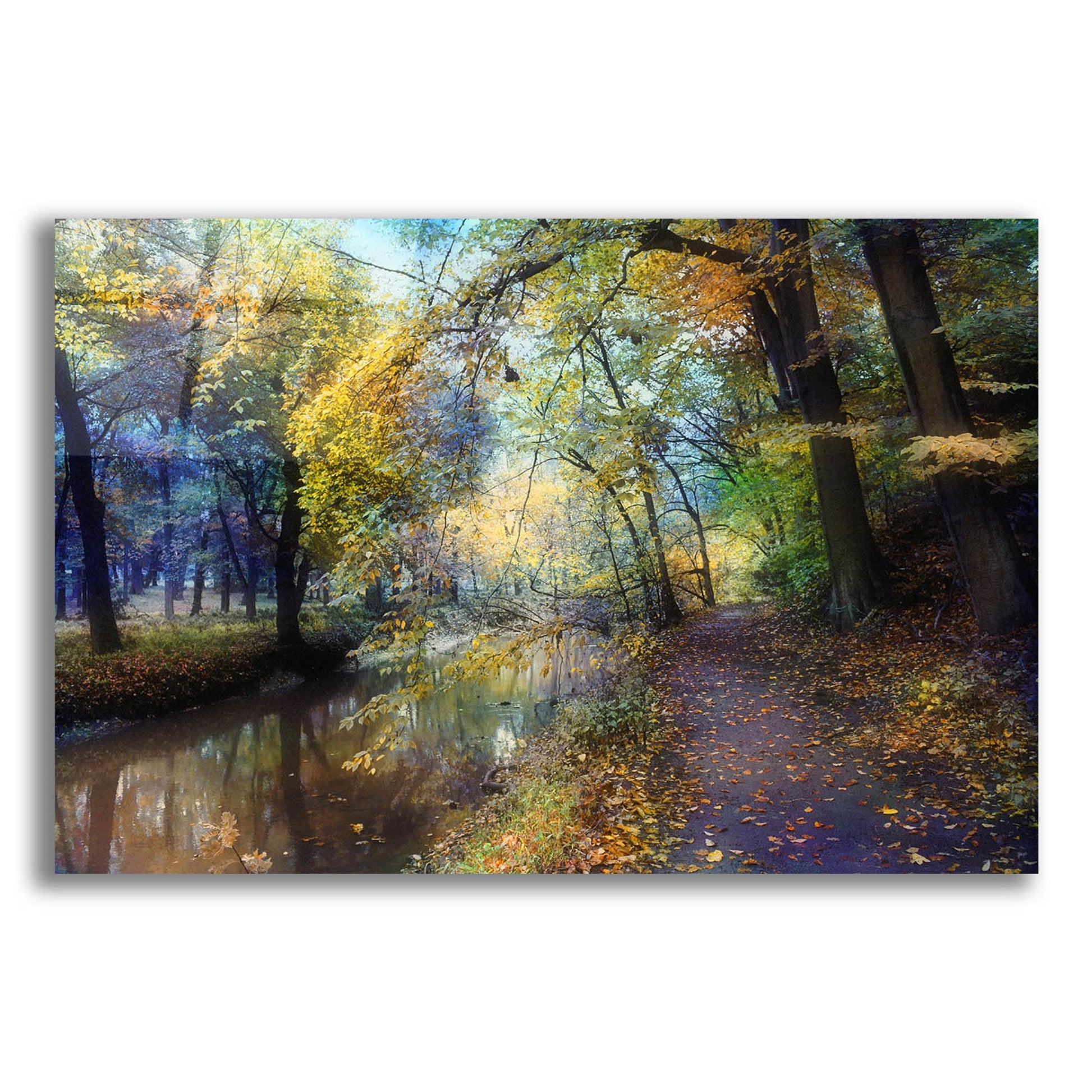 Epic Art ' Autumn Walk' by John Rivera, Acrylic Glass Wall Art,24x16