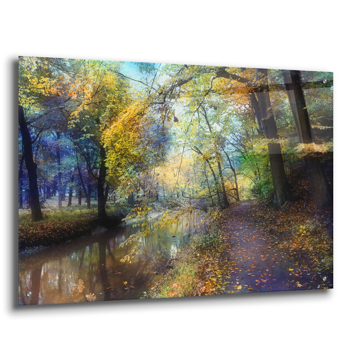 Epic Art ' Autumn Walk' by John Rivera, Acrylic Glass Wall Art,36x24