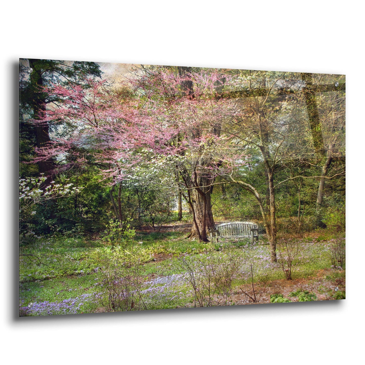 Epic Art ' Spring' by John Rivera, Acrylic Glass Wall Art,36x24