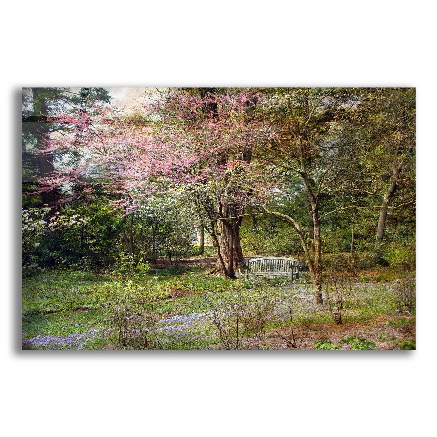 Epic Art ' Spring' by John Rivera, Acrylic Glass Wall Art