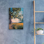 Epic Art ' Where I Daydream' by John Rivera, Acrylic Glass Wall Art,16x24