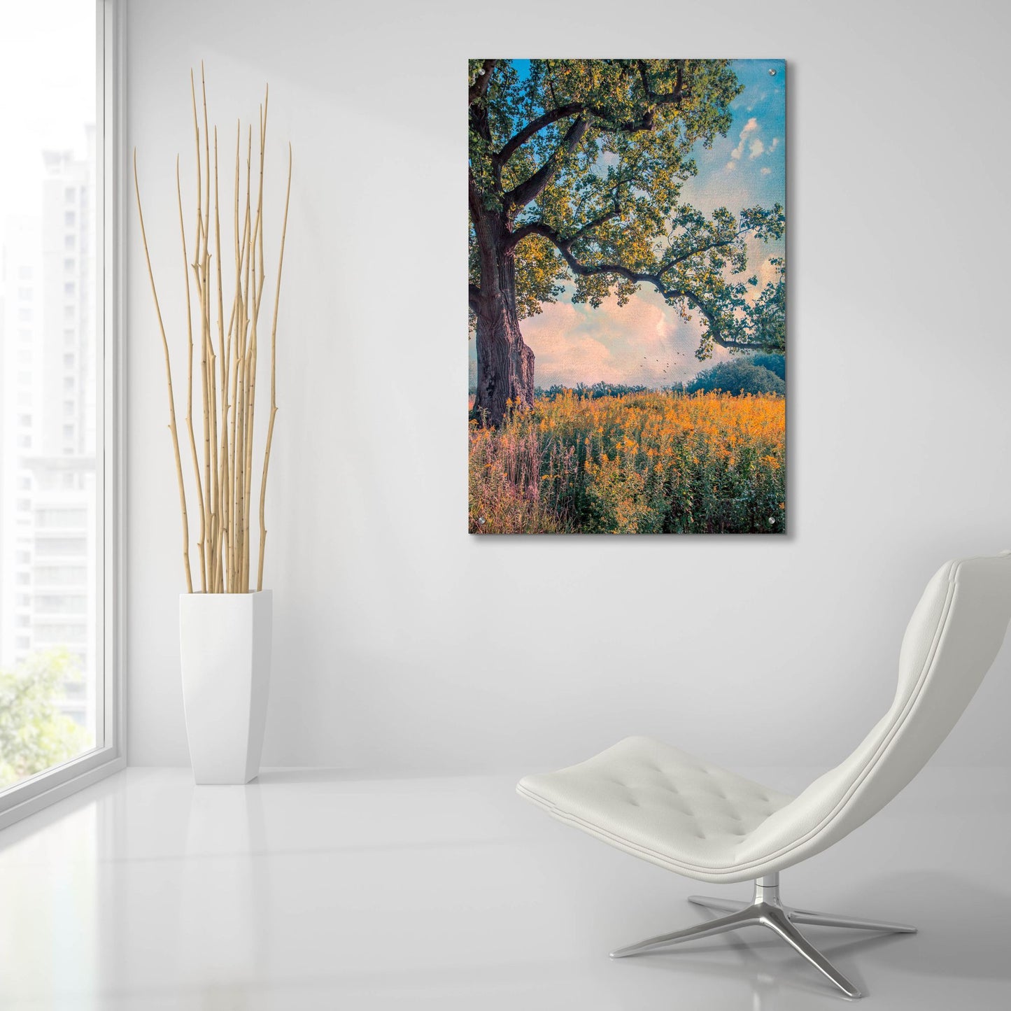 Epic Art ' Where I Daydream' by John Rivera, Acrylic Glass Wall Art,24x36