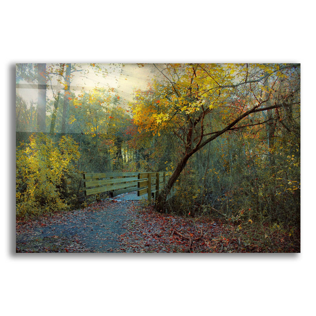 Epic Art ' Good Morning' by John Rivera, Acrylic Glass Wall Art