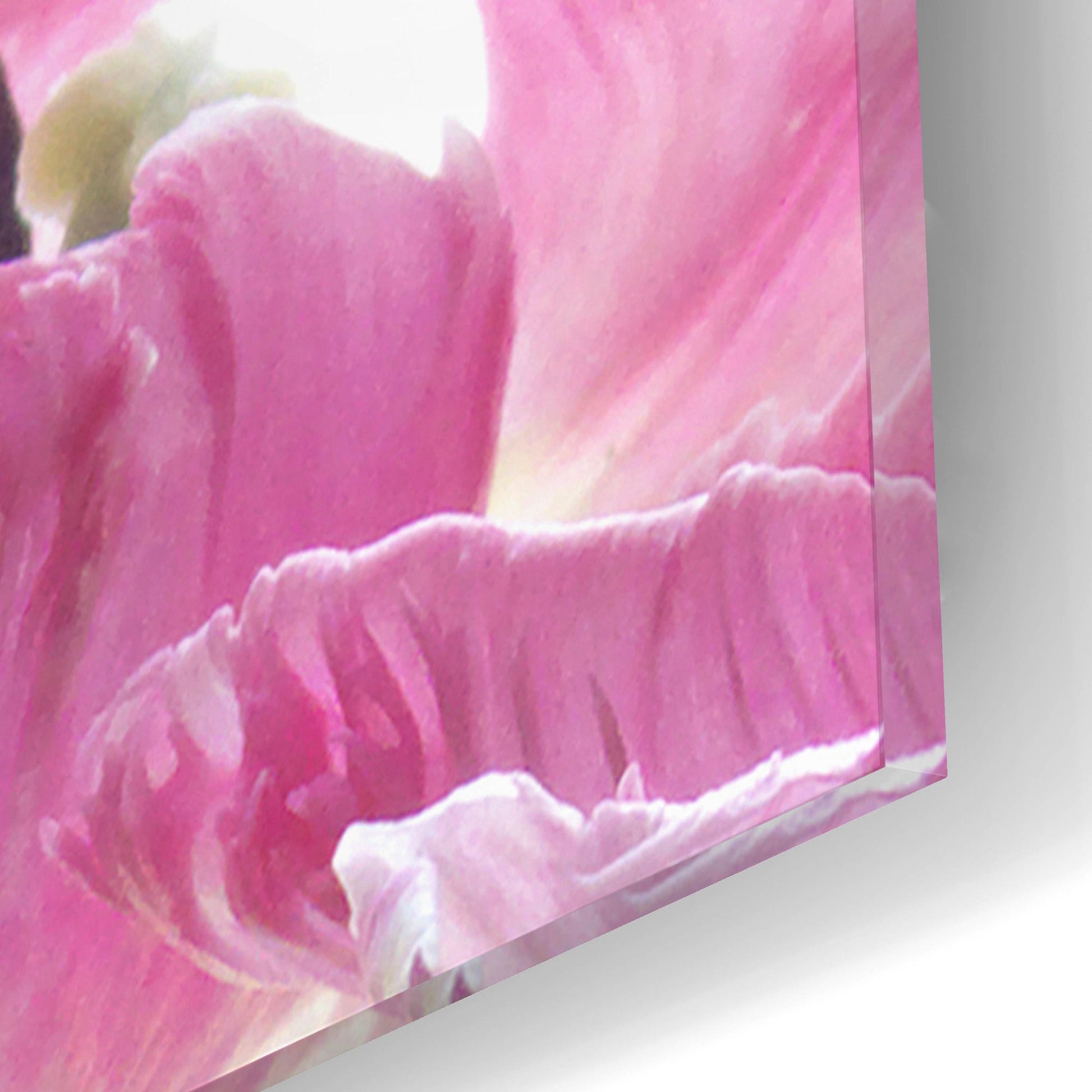 Epic Art ' Parrot Tulips' by Judy Stalus, Acrylic Glass Wall Art,12x12