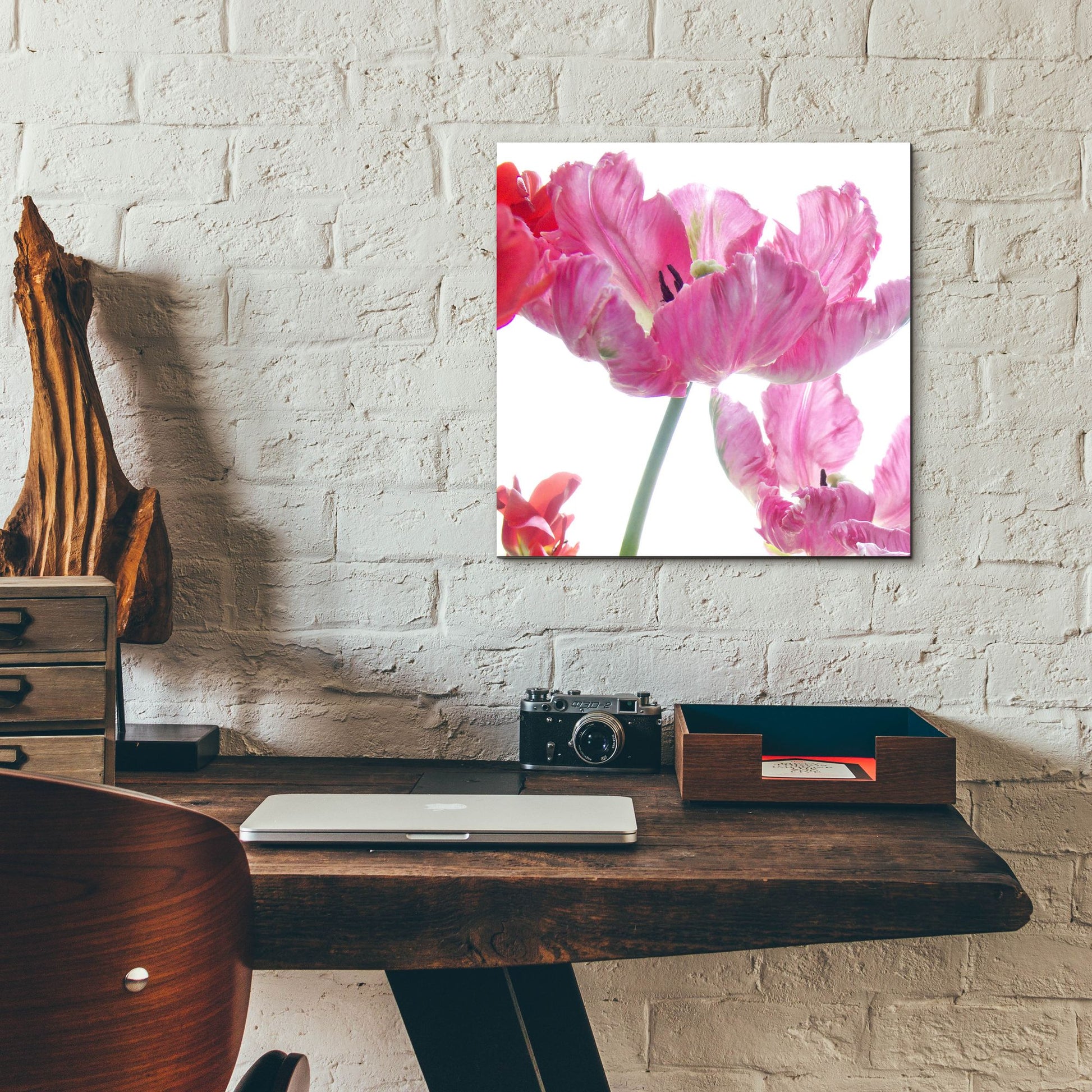 Epic Art ' Parrot Tulips' by Judy Stalus, Acrylic Glass Wall Art,12x12