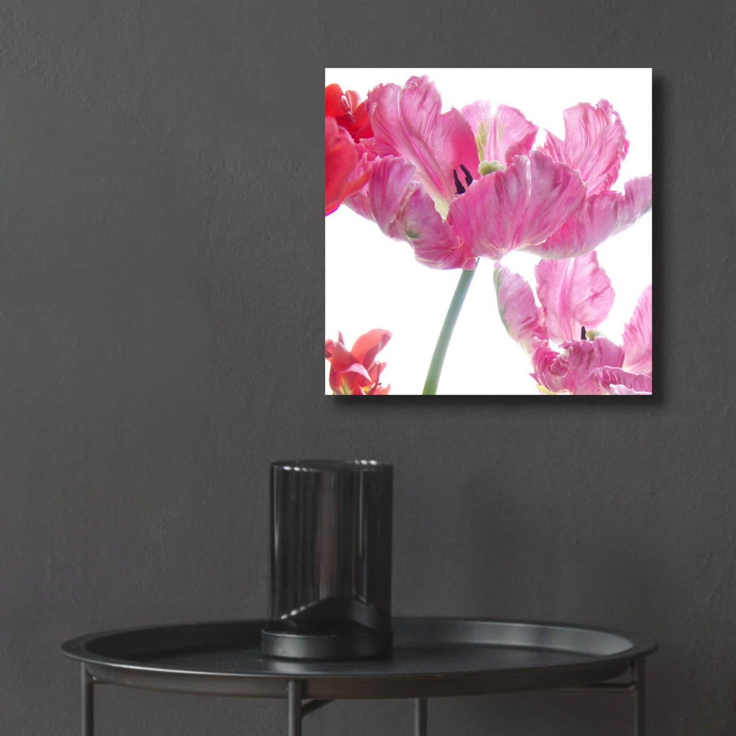 Epic Art ' Parrot Tulips' by Judy Stalus, Acrylic Glass Wall Art,12x12