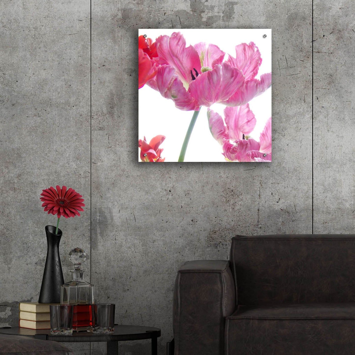 Epic Art ' Parrot Tulips' by Judy Stalus, Acrylic Glass Wall Art,24x24