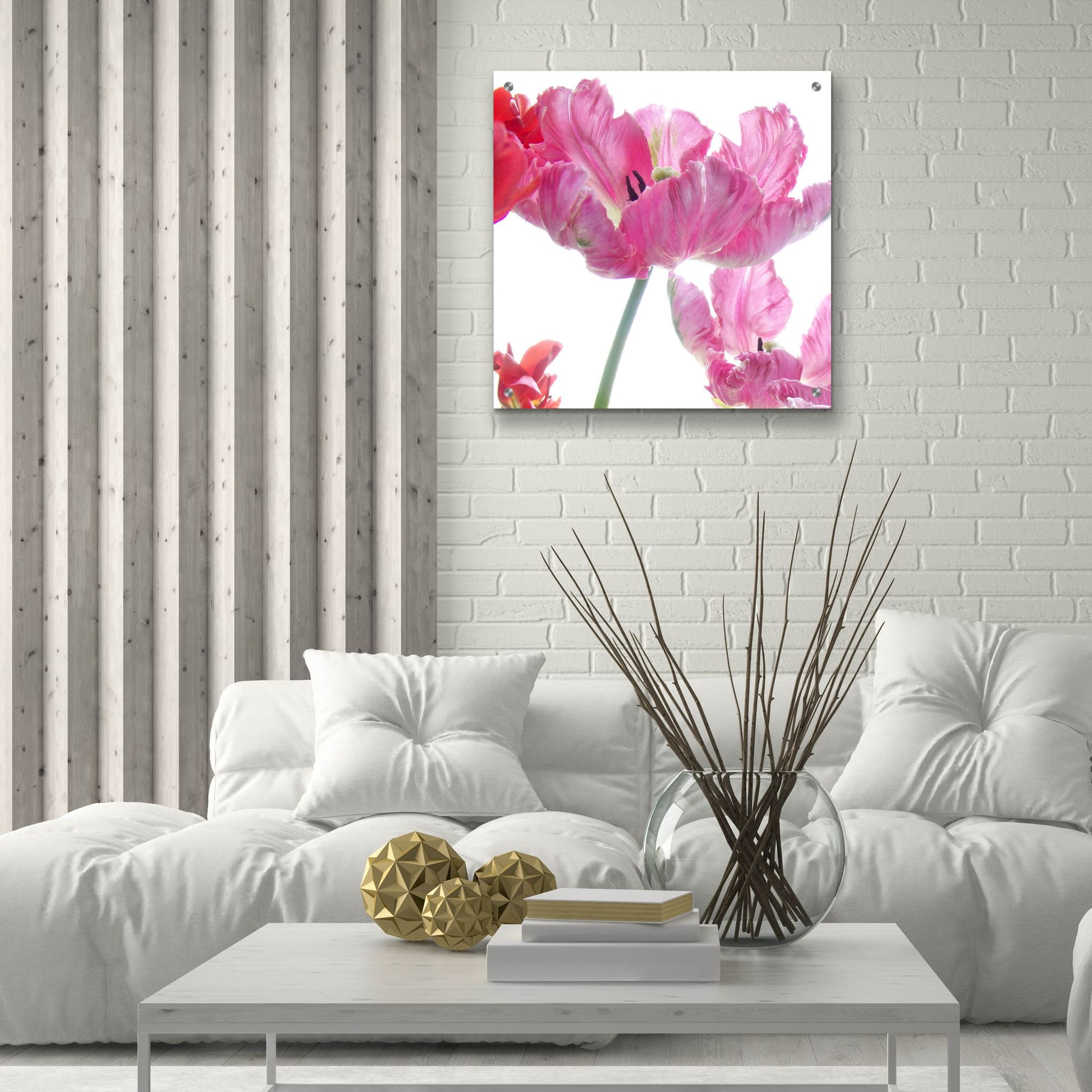 Epic Art ' Parrot Tulips' by Judy Stalus, Acrylic Glass Wall Art,24x24