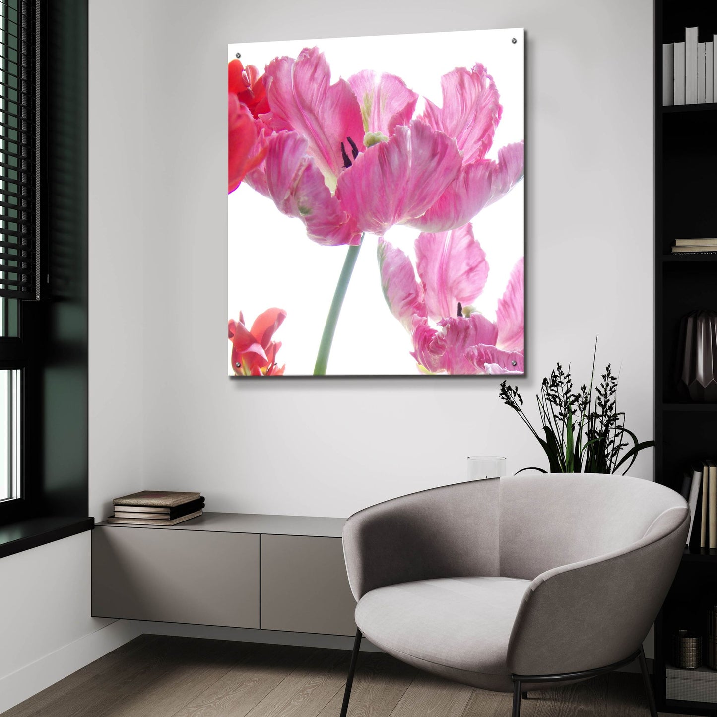 Epic Art ' Parrot Tulips' by Judy Stalus, Acrylic Glass Wall Art,36x36