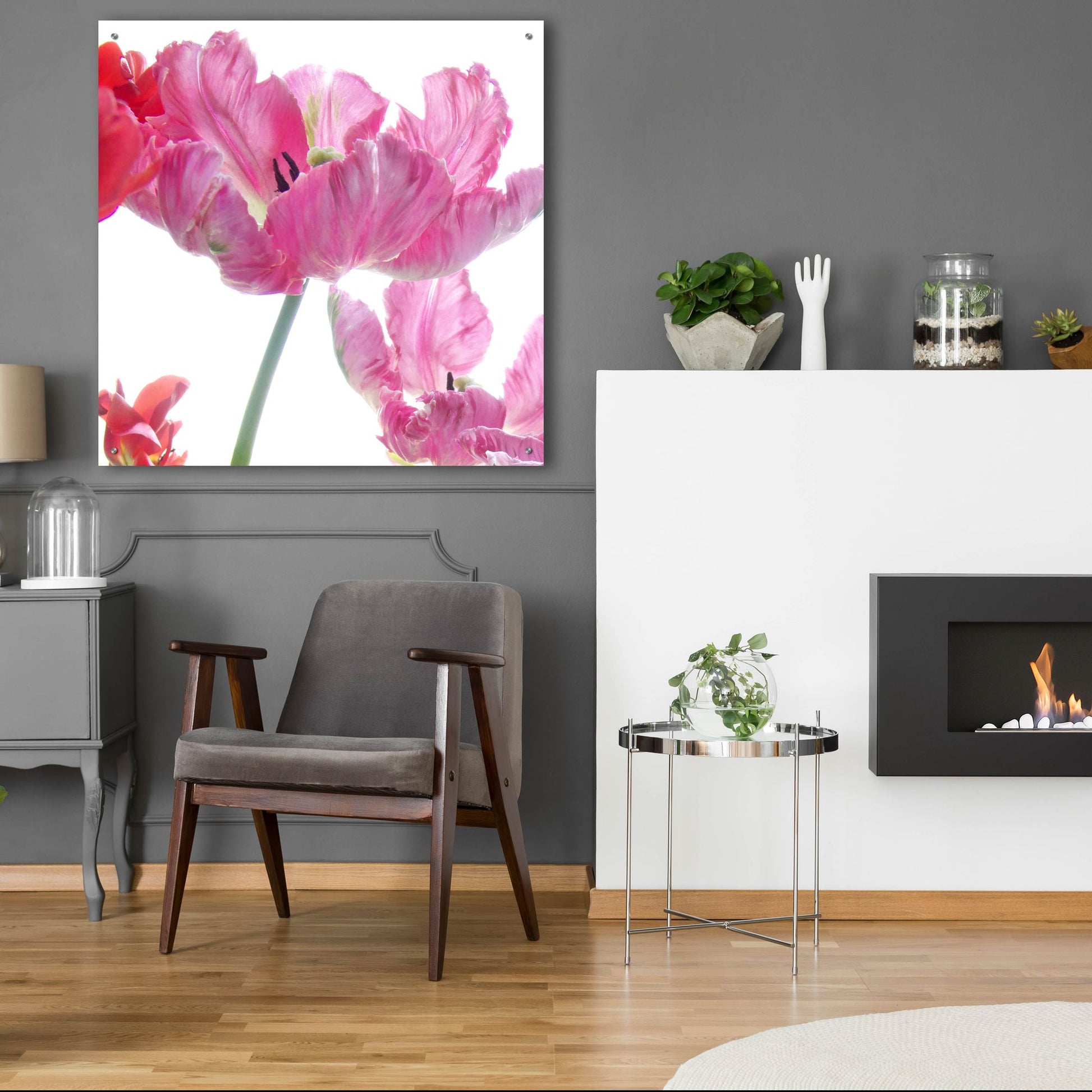 Epic Art ' Parrot Tulips' by Judy Stalus, Acrylic Glass Wall Art,36x36