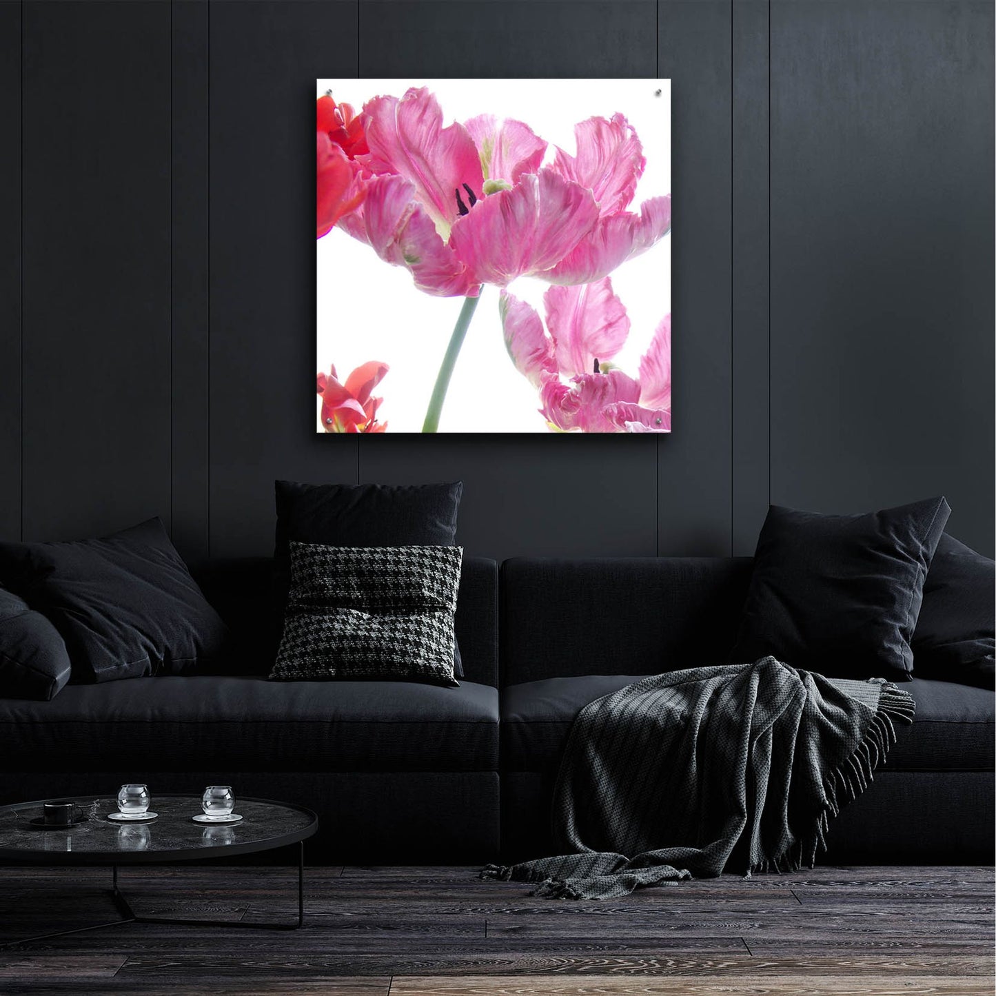 Epic Art ' Parrot Tulips' by Judy Stalus, Acrylic Glass Wall Art,36x36