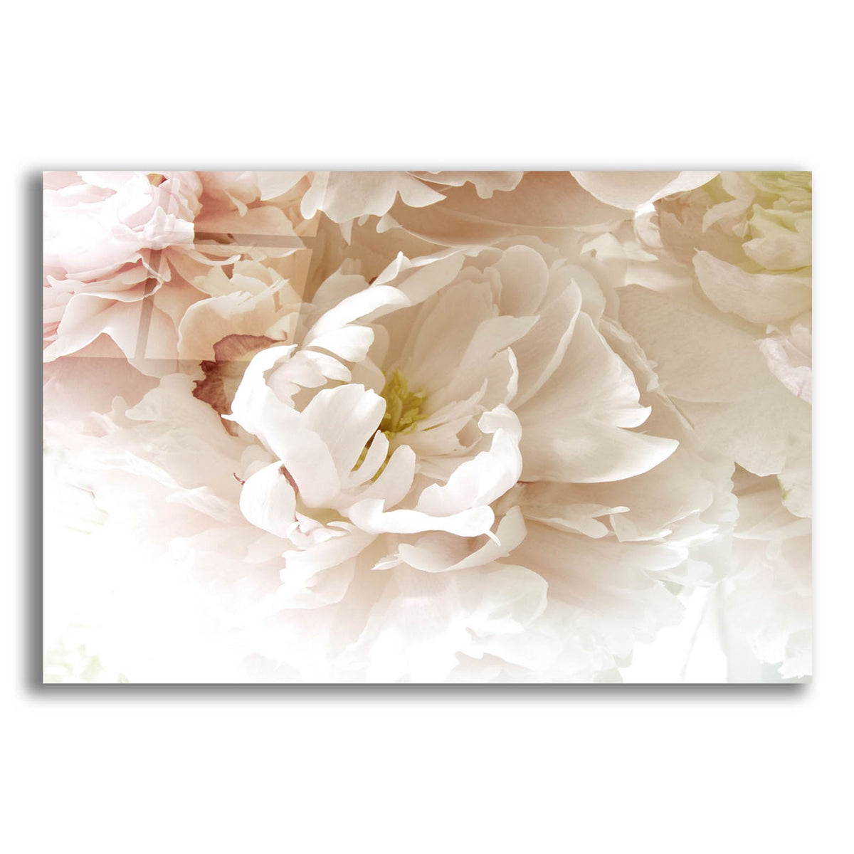 Epic Art ' Froth' by Judy Stalus, Acrylic Glass Wall Art