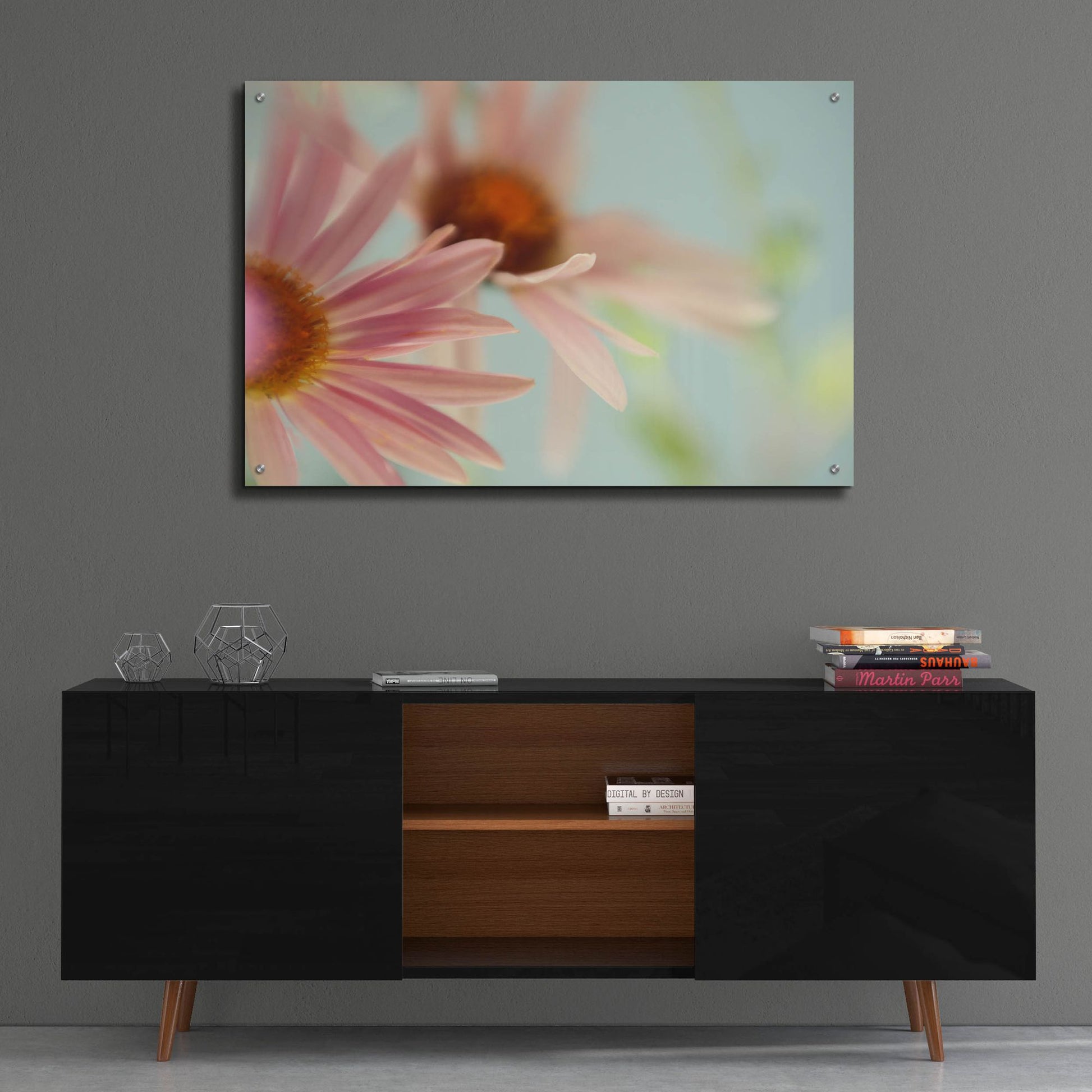 Epic Art ' Daisy Days' by Judy Stalus, Acrylic Glass Wall Art,36x24