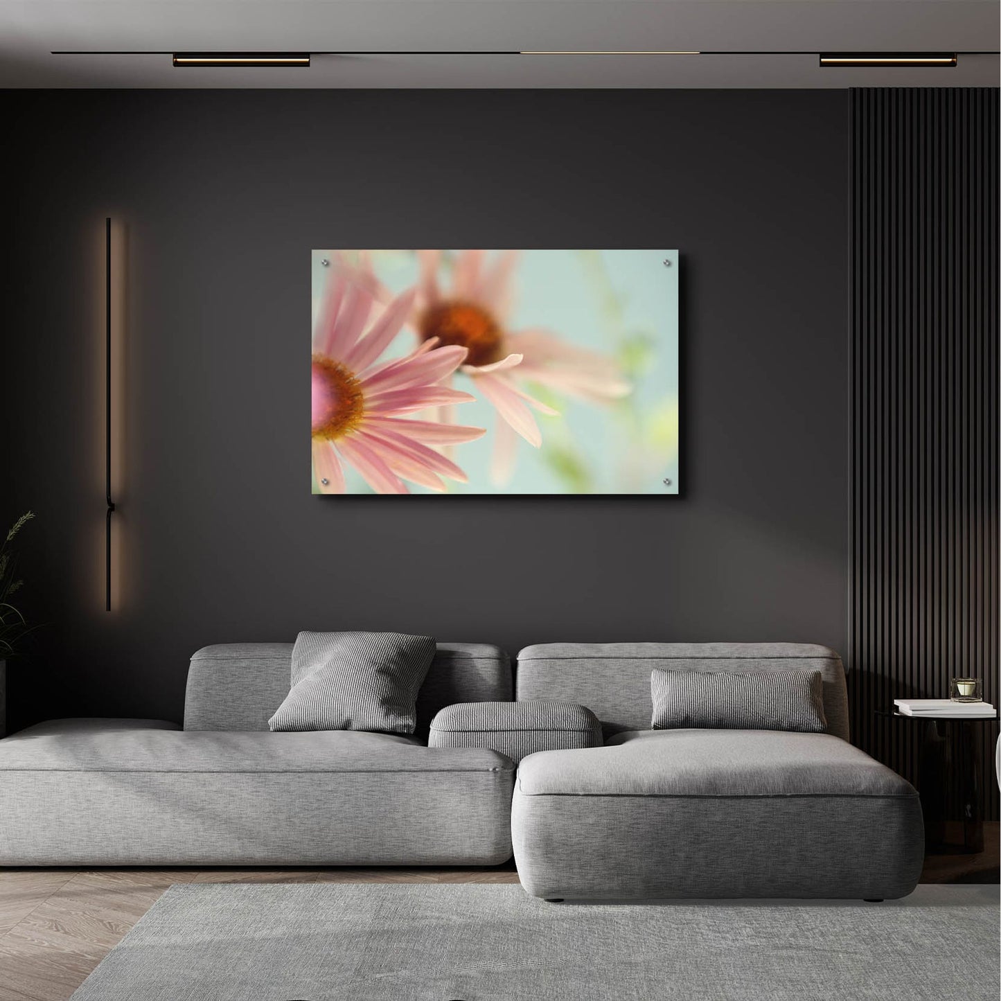 Epic Art ' Daisy Days' by Judy Stalus, Acrylic Glass Wall Art,36x24