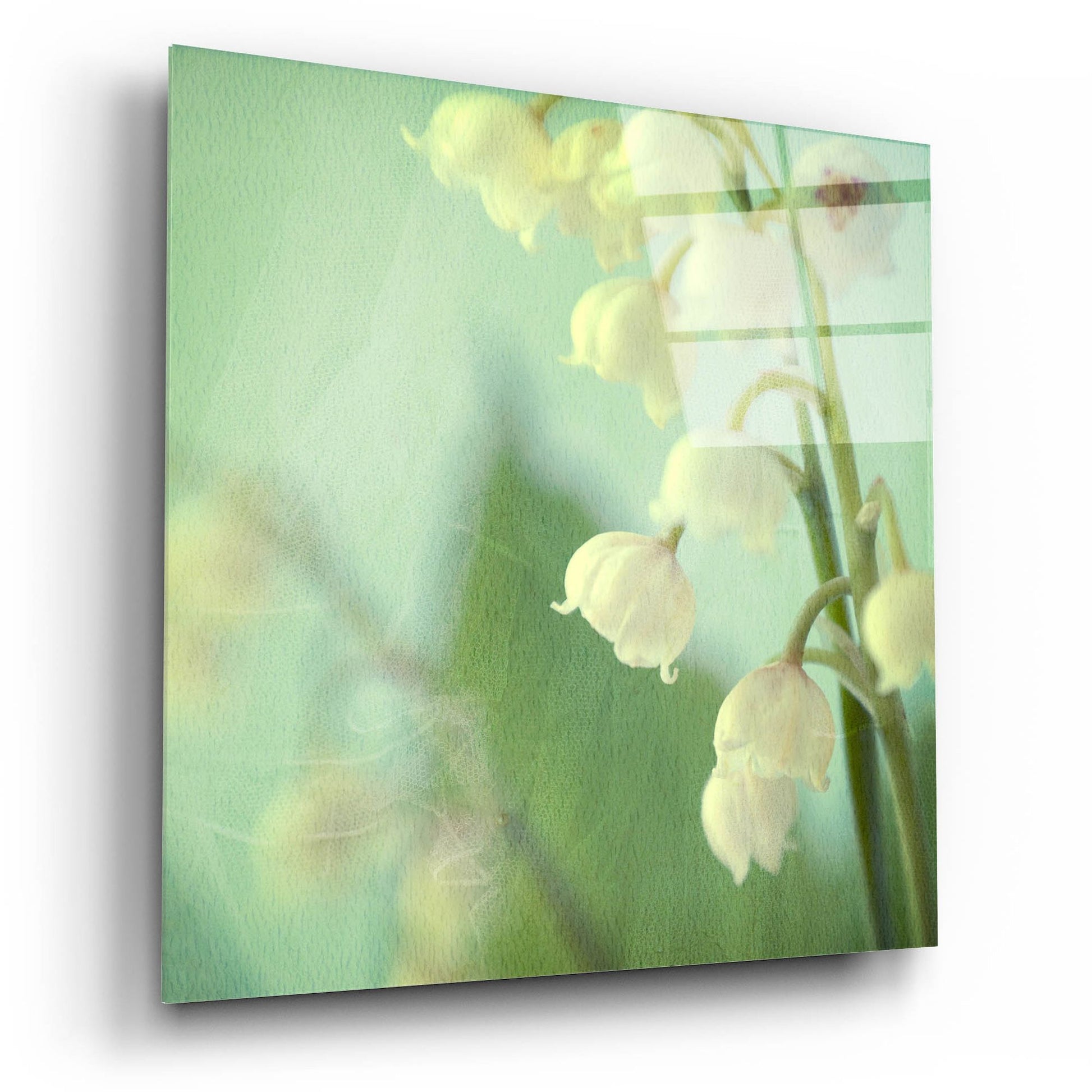 Epic Art ' Lily of the Valley' by Judy Stalus, Acrylic Glass Wall Art,12x12