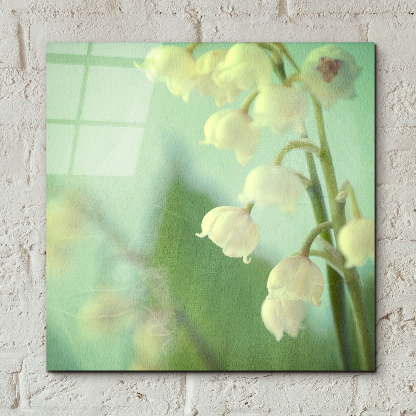 Epic Art ' Lily of the Valley' by Judy Stalus, Acrylic Glass Wall Art,12x12