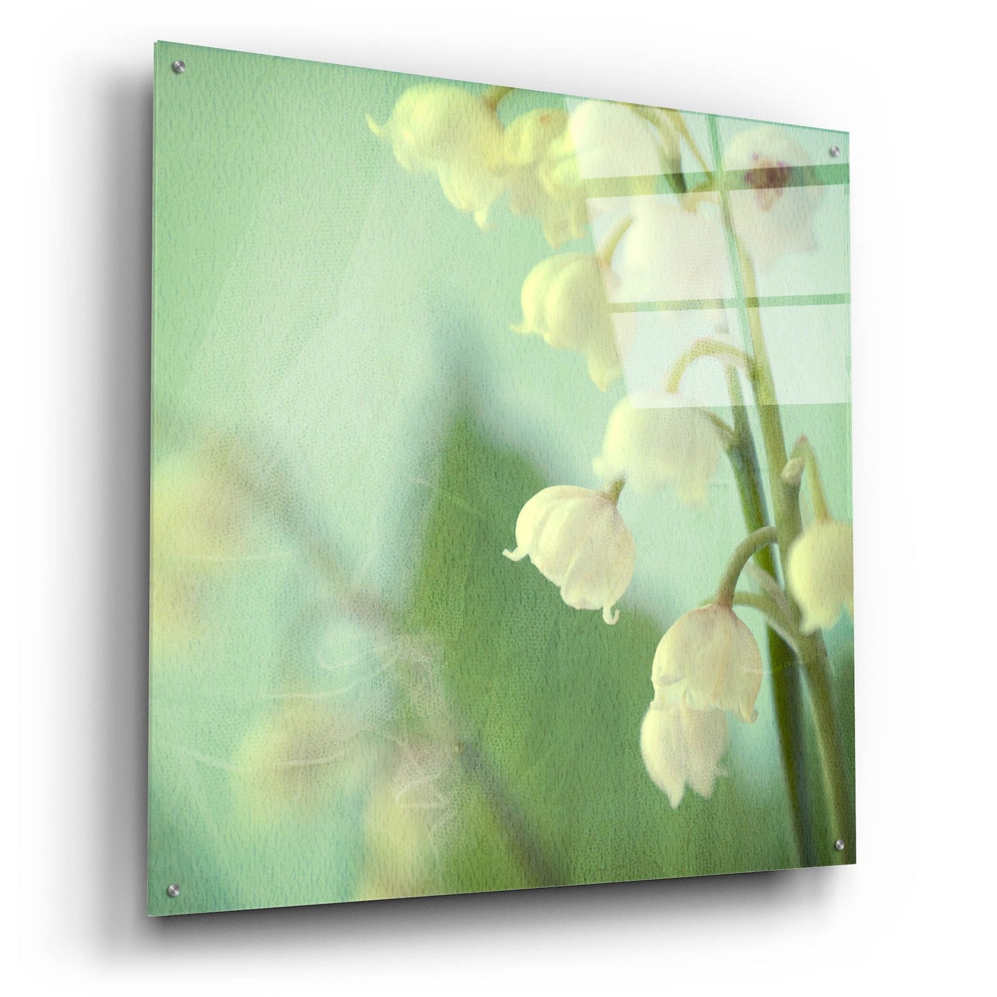 Epic Art ' Lily of the Valley' by Judy Stalus, Acrylic Glass Wall Art,36x36