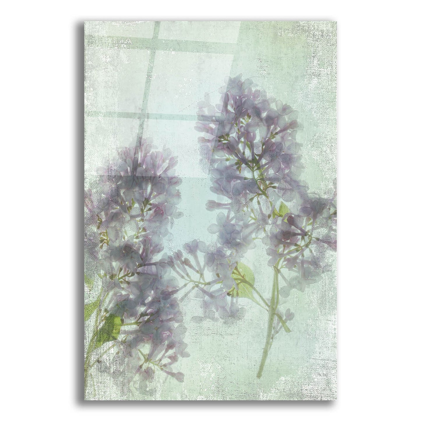 Epic Art ' Lilac' by Judy Stalus, Acrylic Glass Wall Art