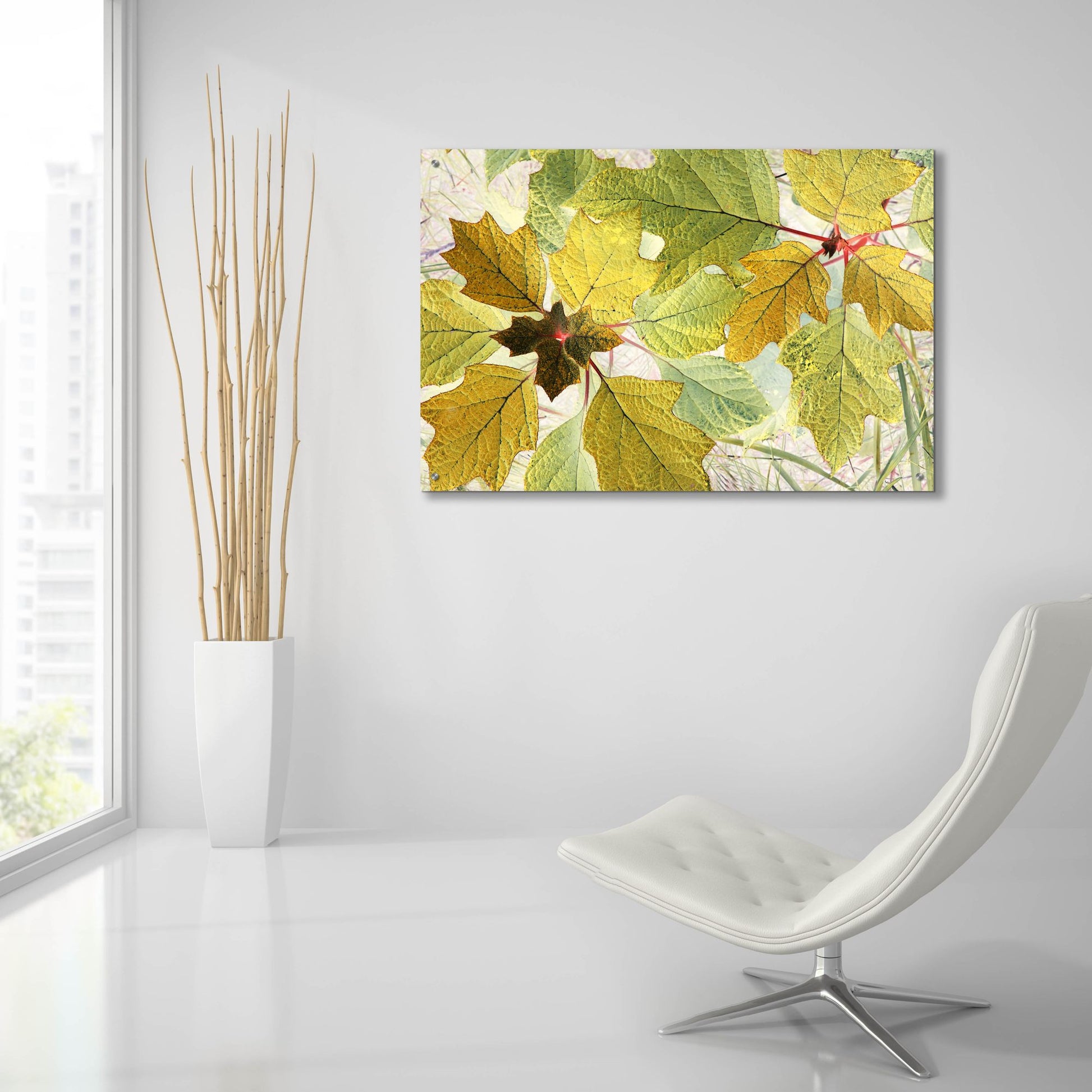 Epic Art ' Golden Oak' by Judy Stalus, Acrylic Glass Wall Art,36x24